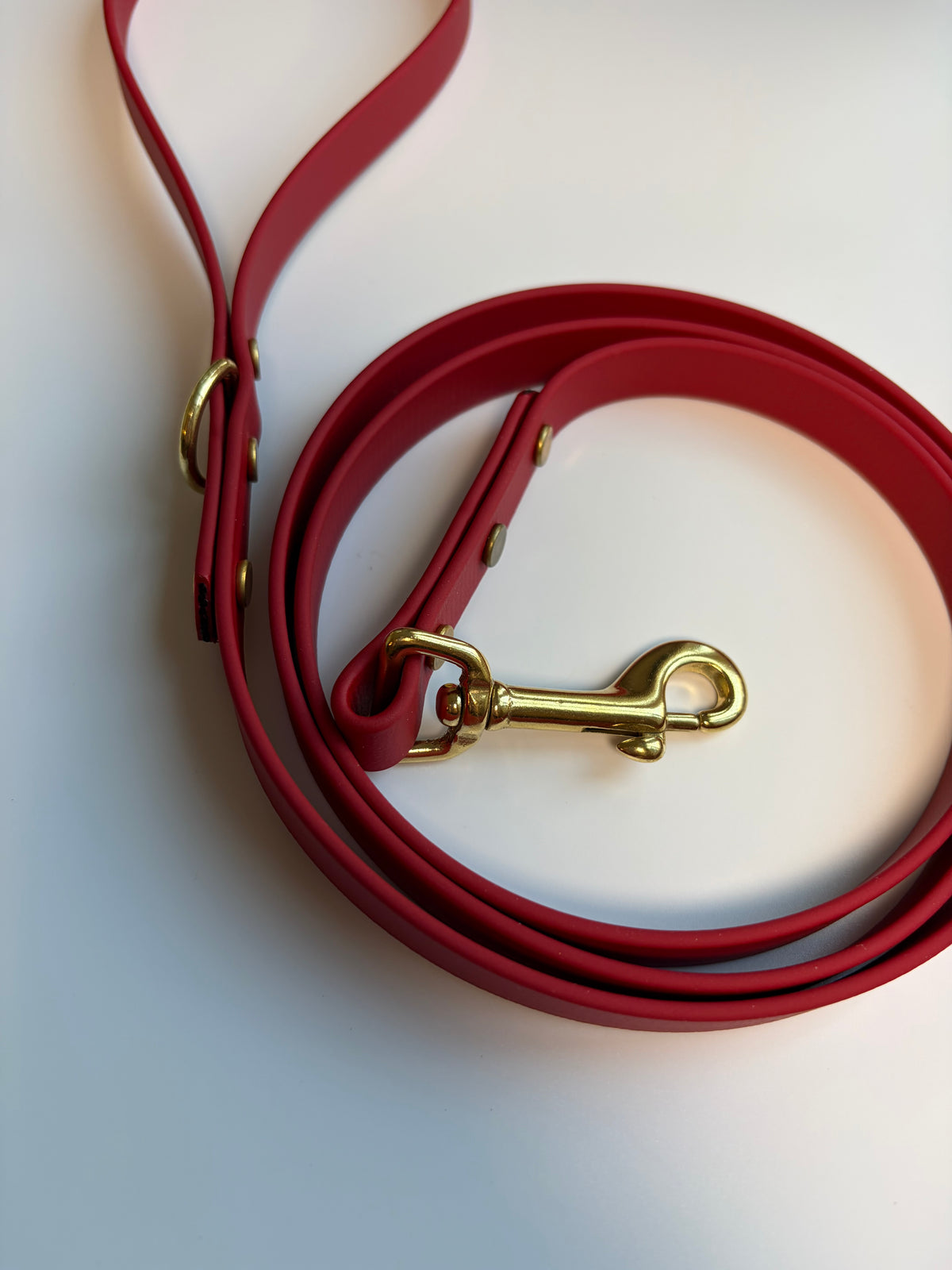 Classic Biothane Leash Cranberry