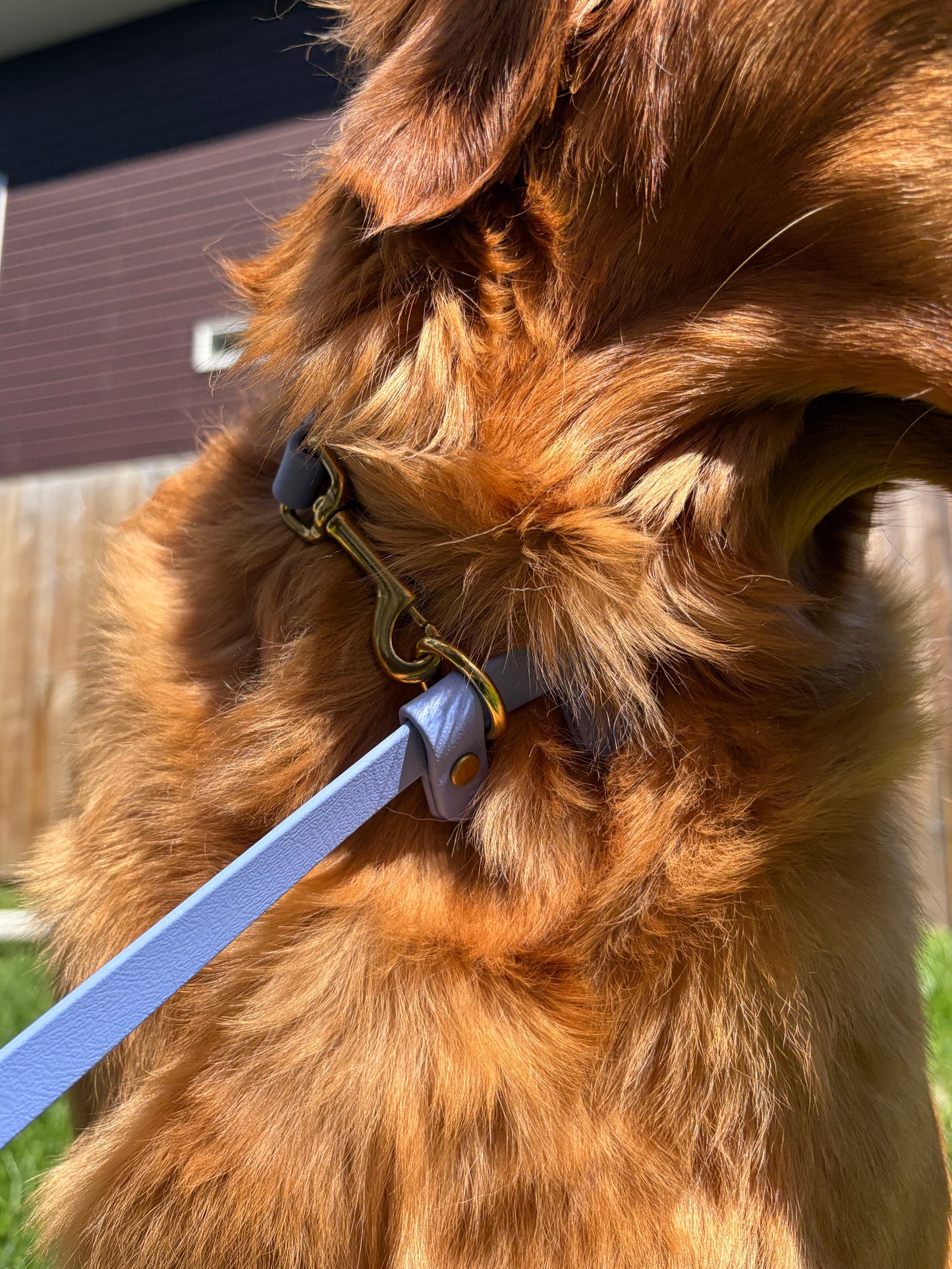 Hands-Free All-in-One Biothane Leash Periwinkle