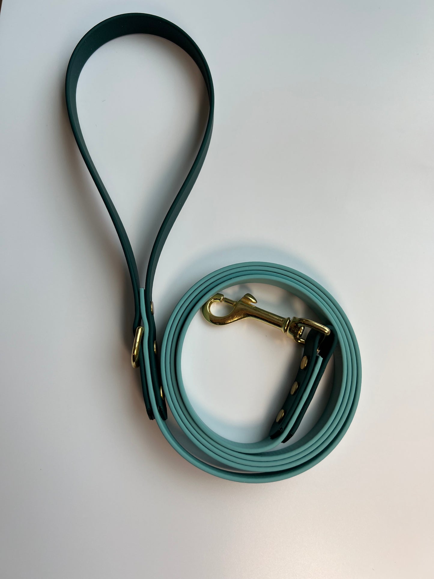 Two-tone Biothane Leash Teal and Hunter Green