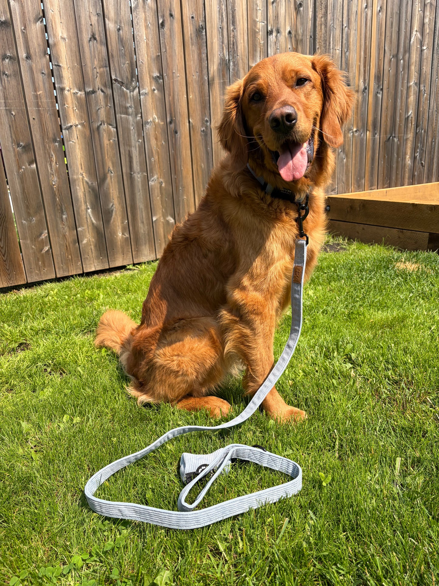 Steel Blue Corduroy Leash