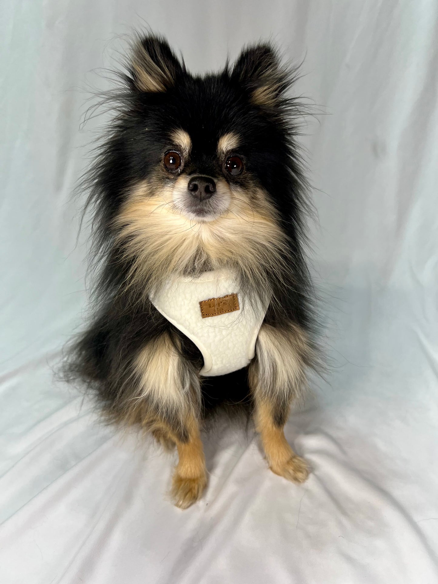 Teddy Harness Cream