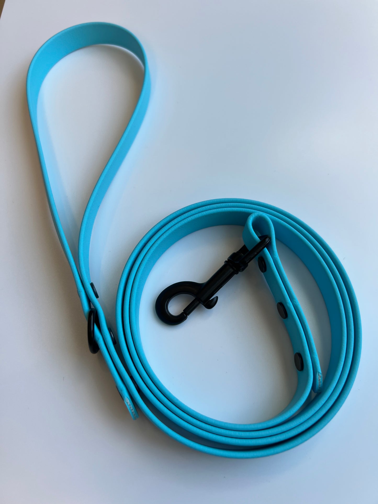 Classic Biothane Leash Baby Blue