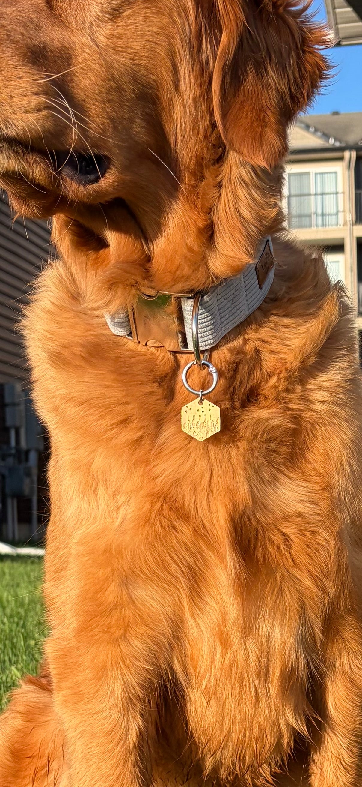Custom Pet Tag