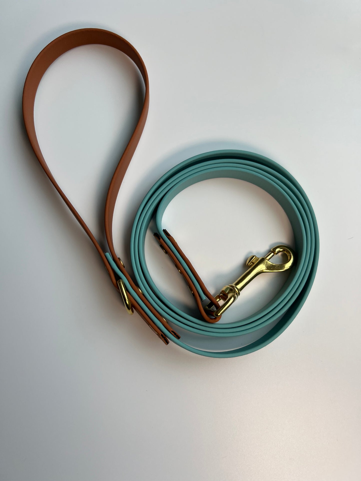 Two-tone Biothane Leash Teal and Tan