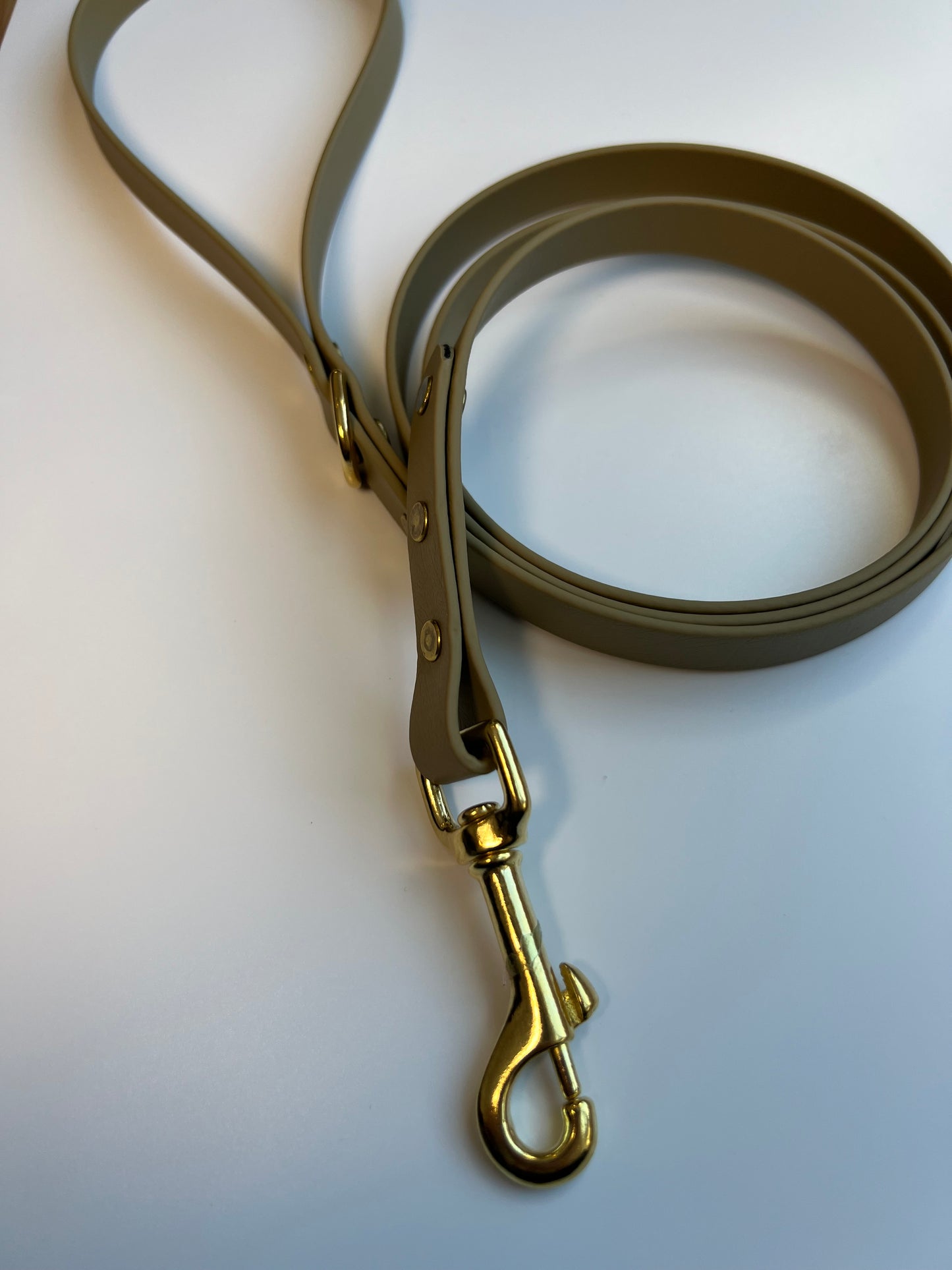 Classic Biothane Leash Sahara Tan