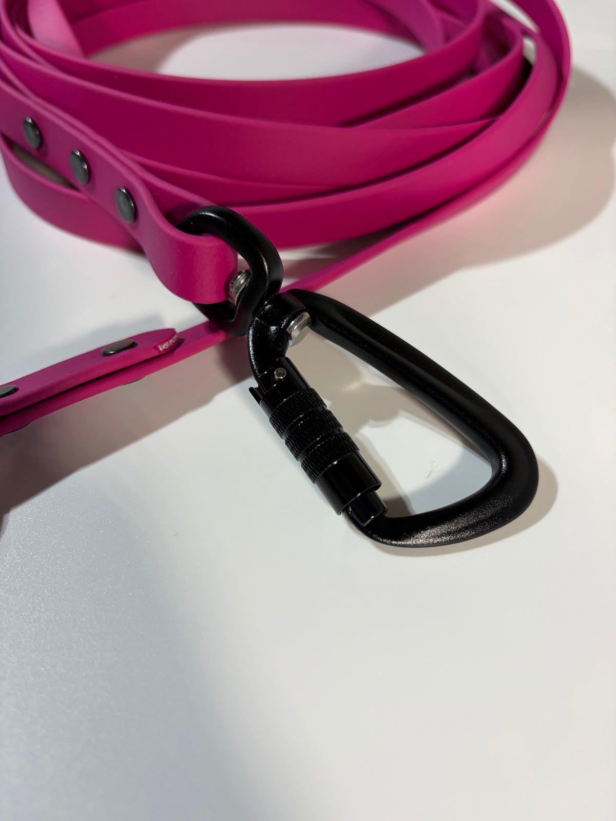 Biothane Long-Line with Handle