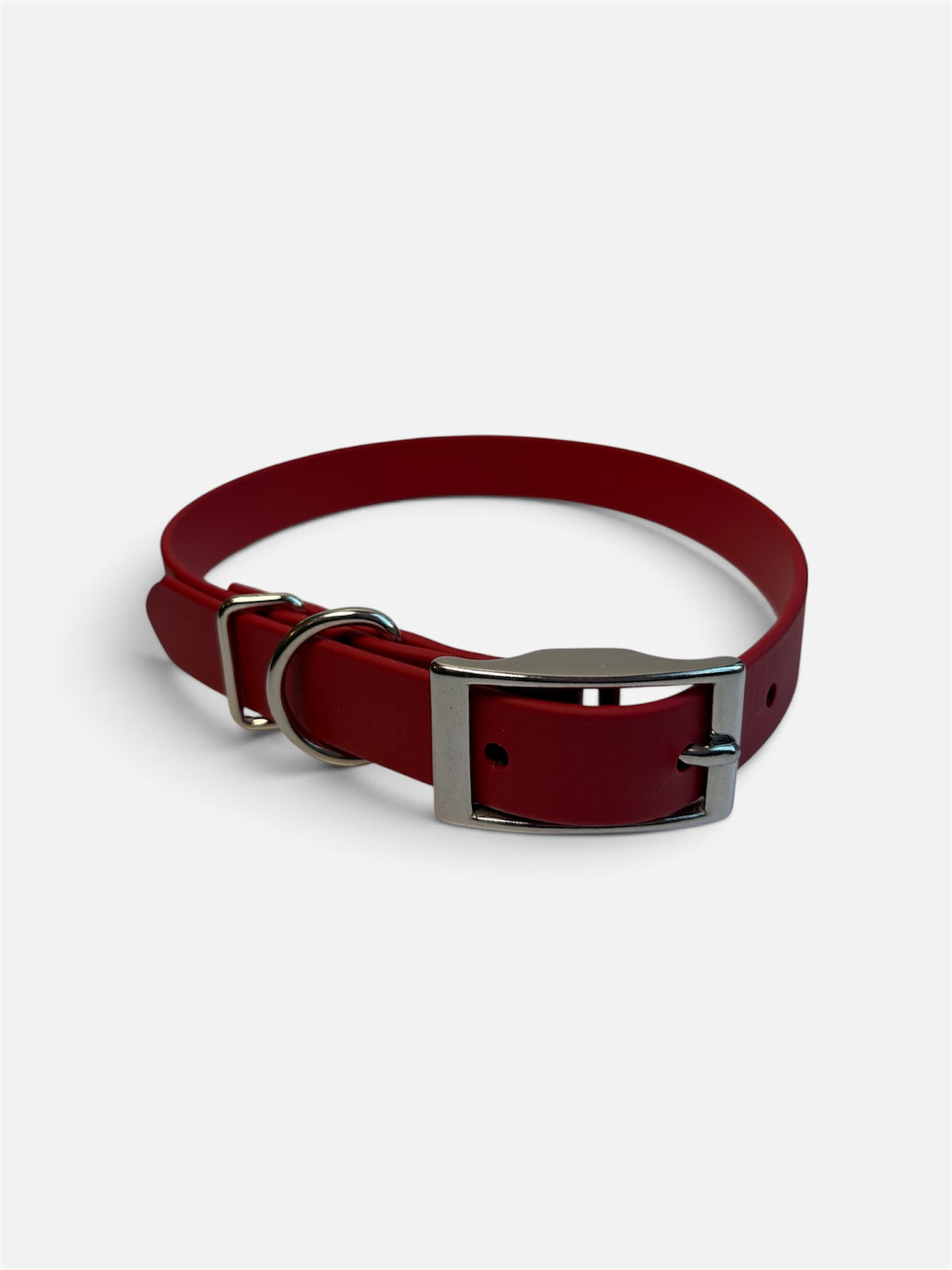 Traditional Buckle Collar 1" Fall Colours
