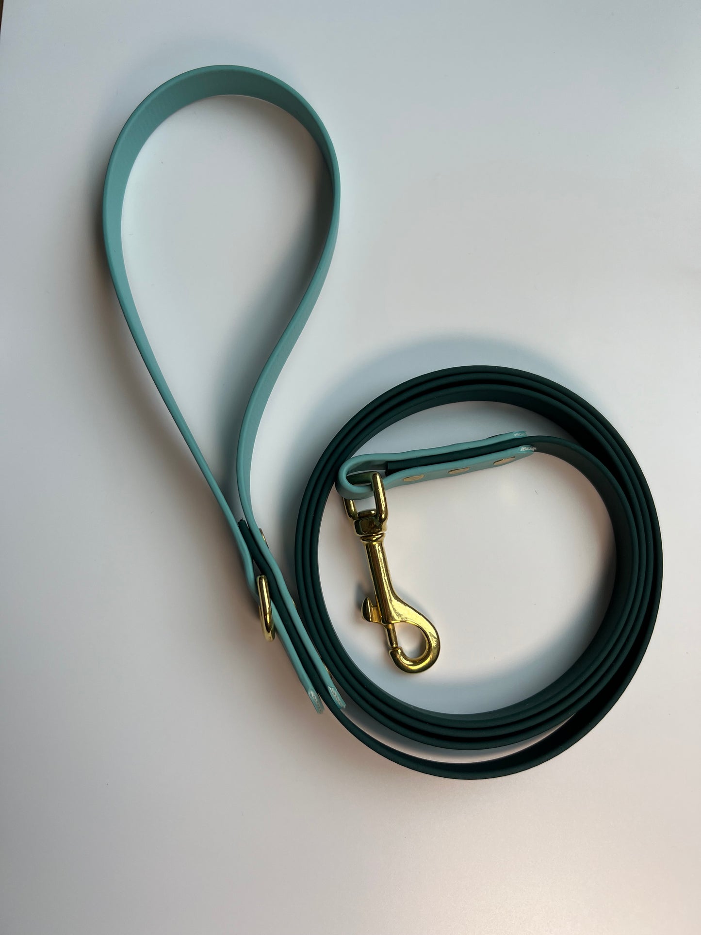 Two-tone Biothane Leash Hunter Green and Teal
