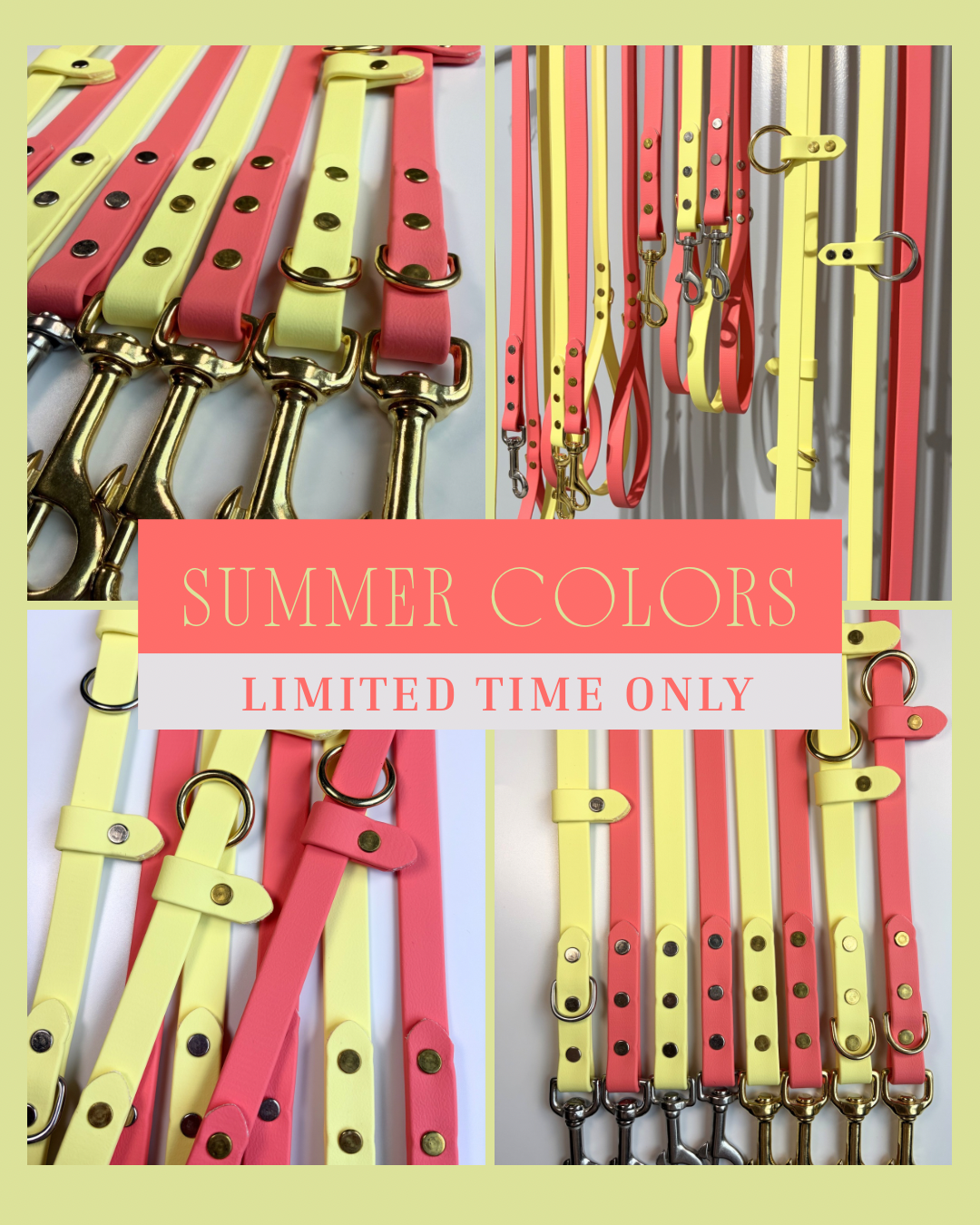 Summer Collection