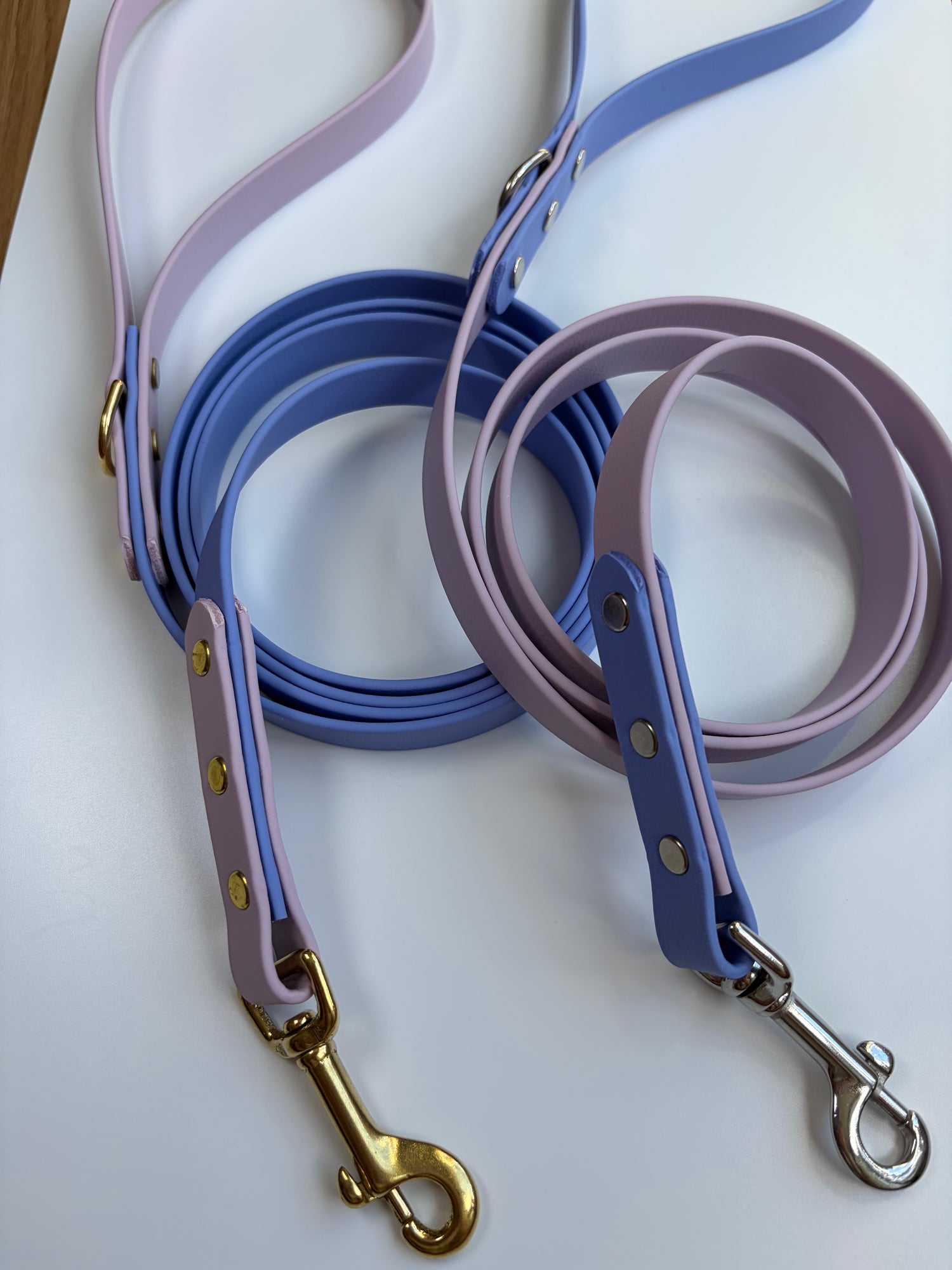 Two-Tone Biothane Leashes