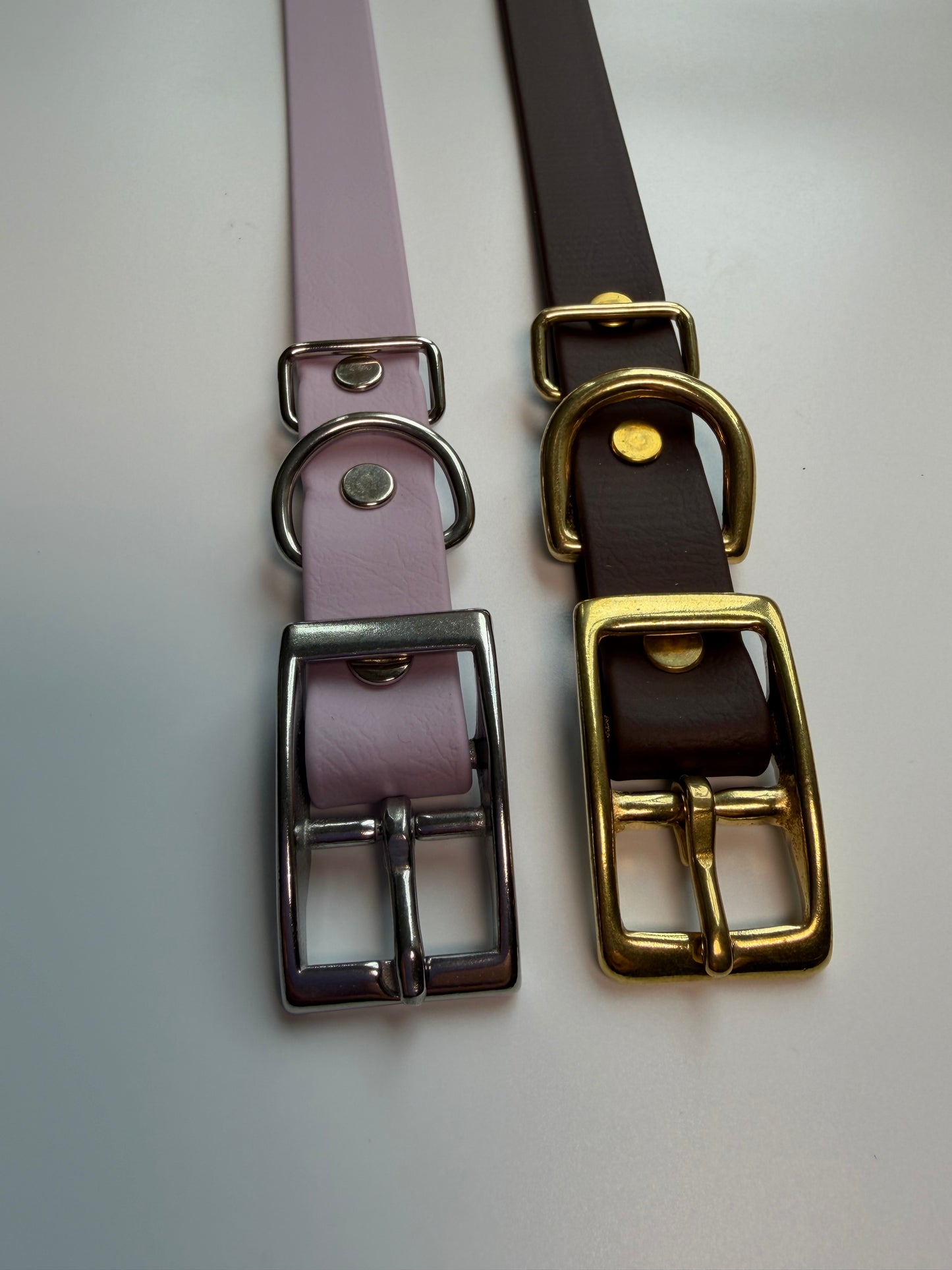 Traditional Buckle Collar 3/4"