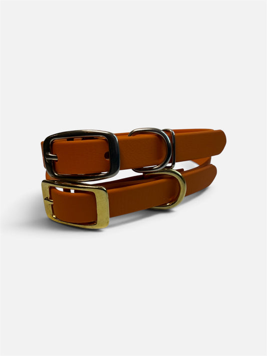 Fall Collection Traditional Buckle Collar 5/8"