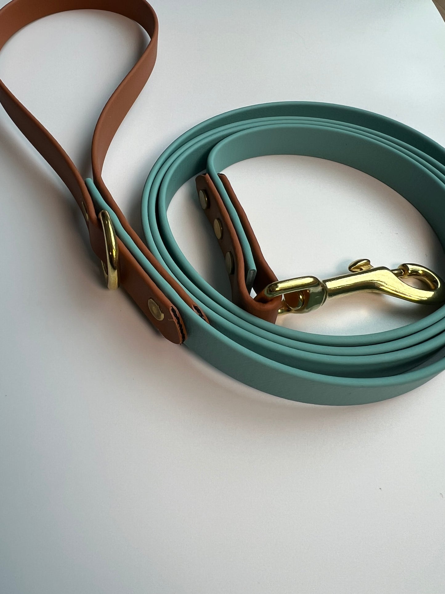 Two-tone Biothane Leash Teal and Tan
