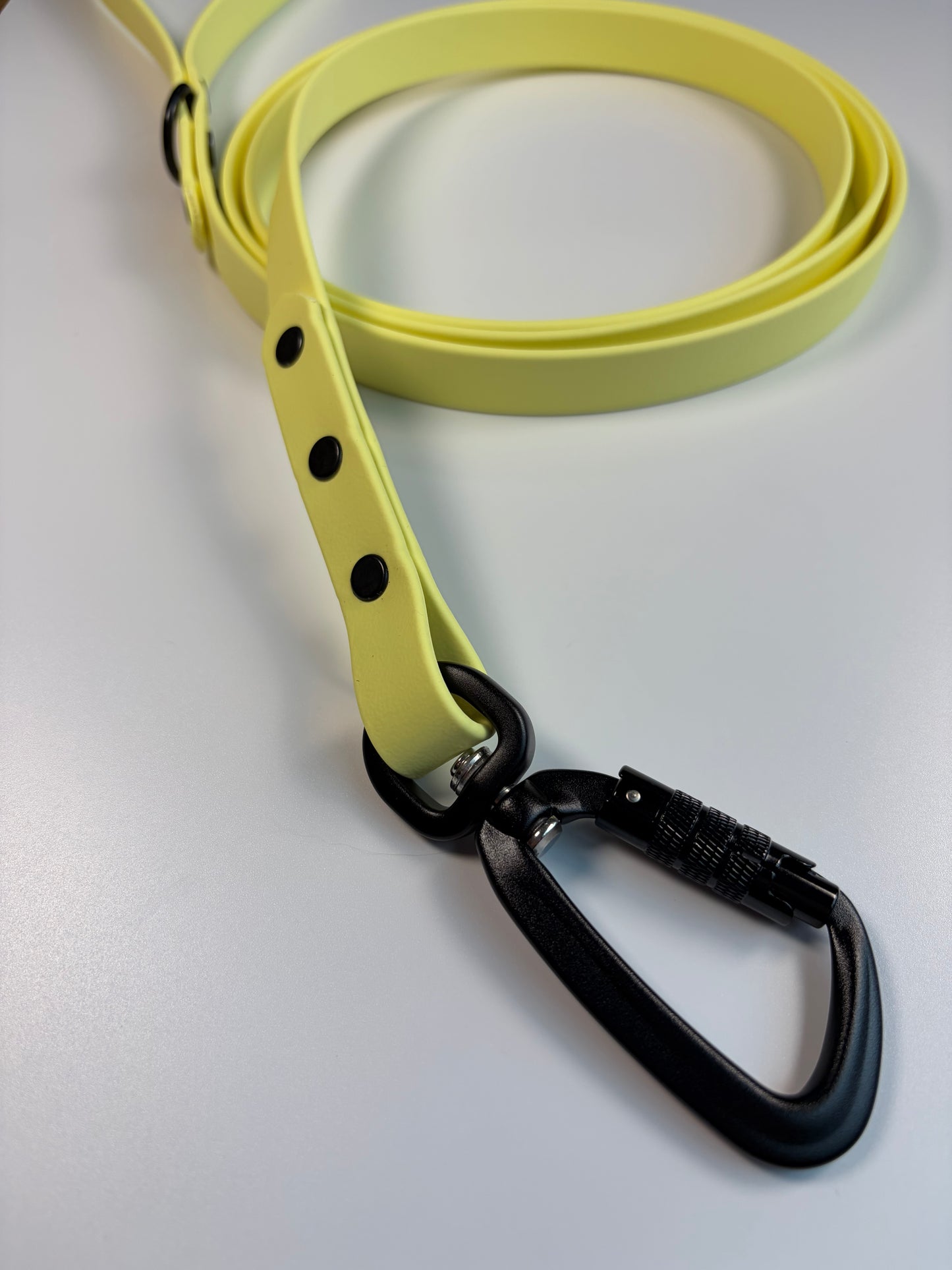 Classic Biothane Leash Lemonade (Seasonal Color)