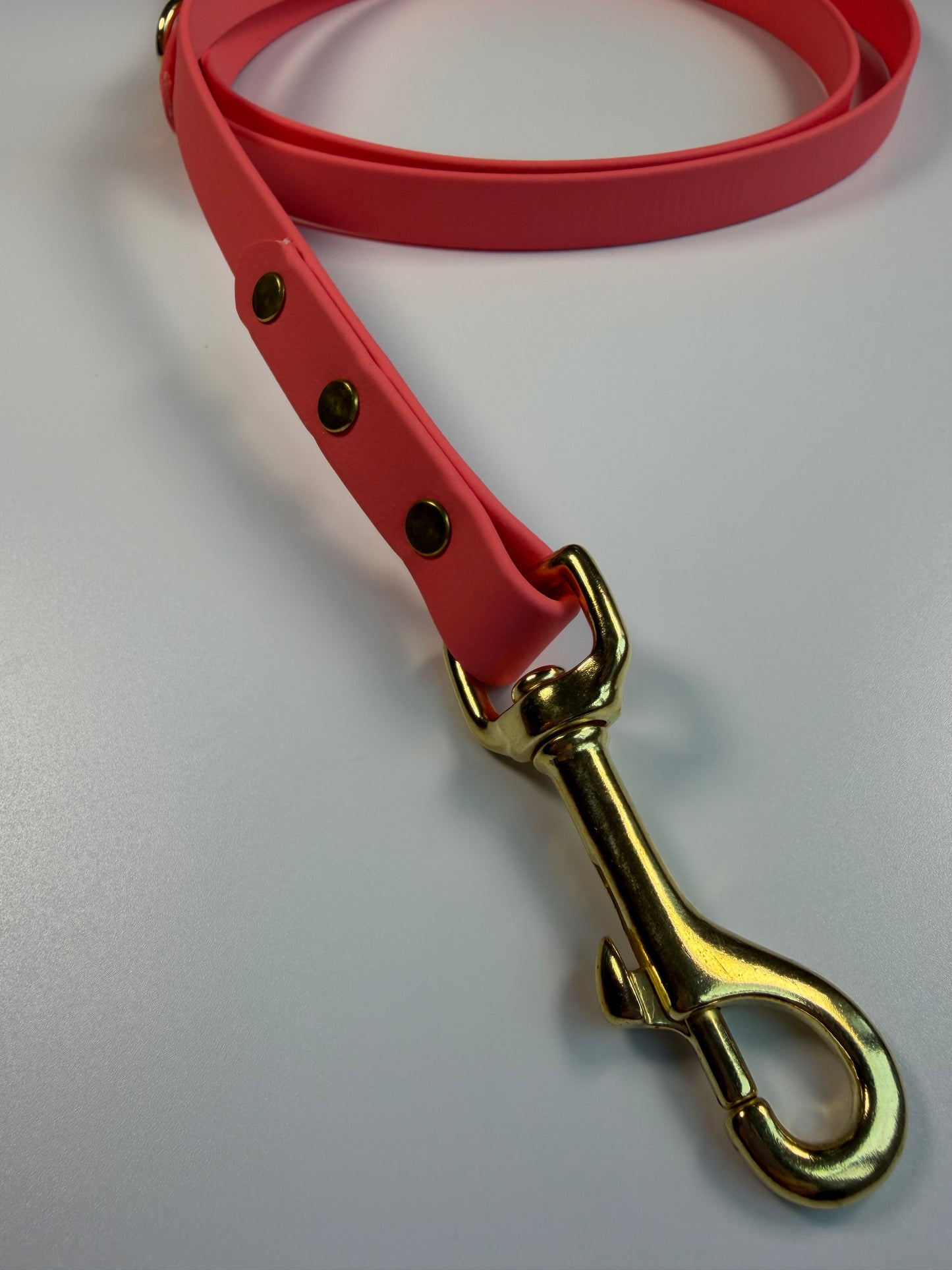 Classic Biothane Leash Coral (Seasonal Color)