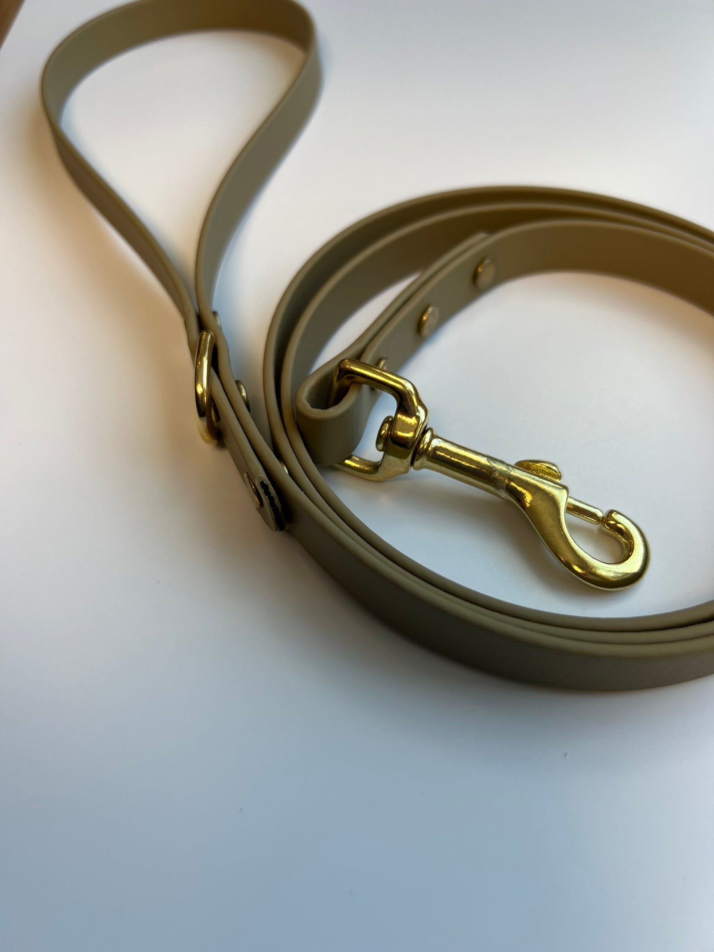 Classic Biothane Leash Sahara Tan