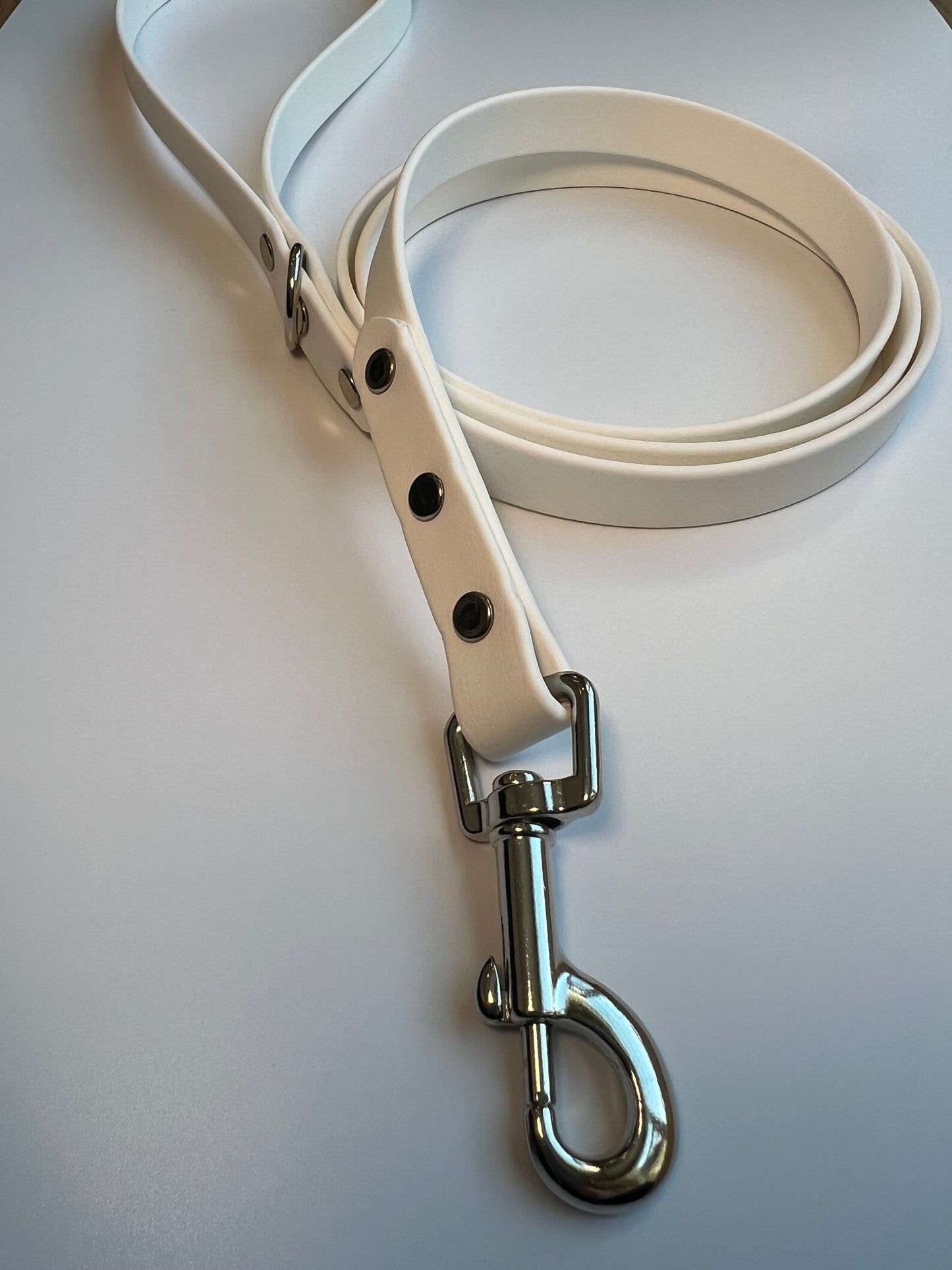 Classic Biothane Leash White