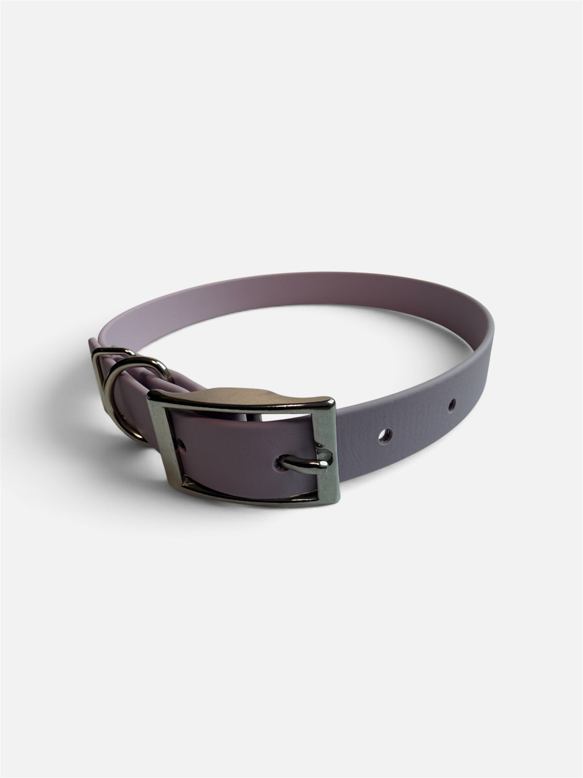 Traditional Buckle Collar 3/4"