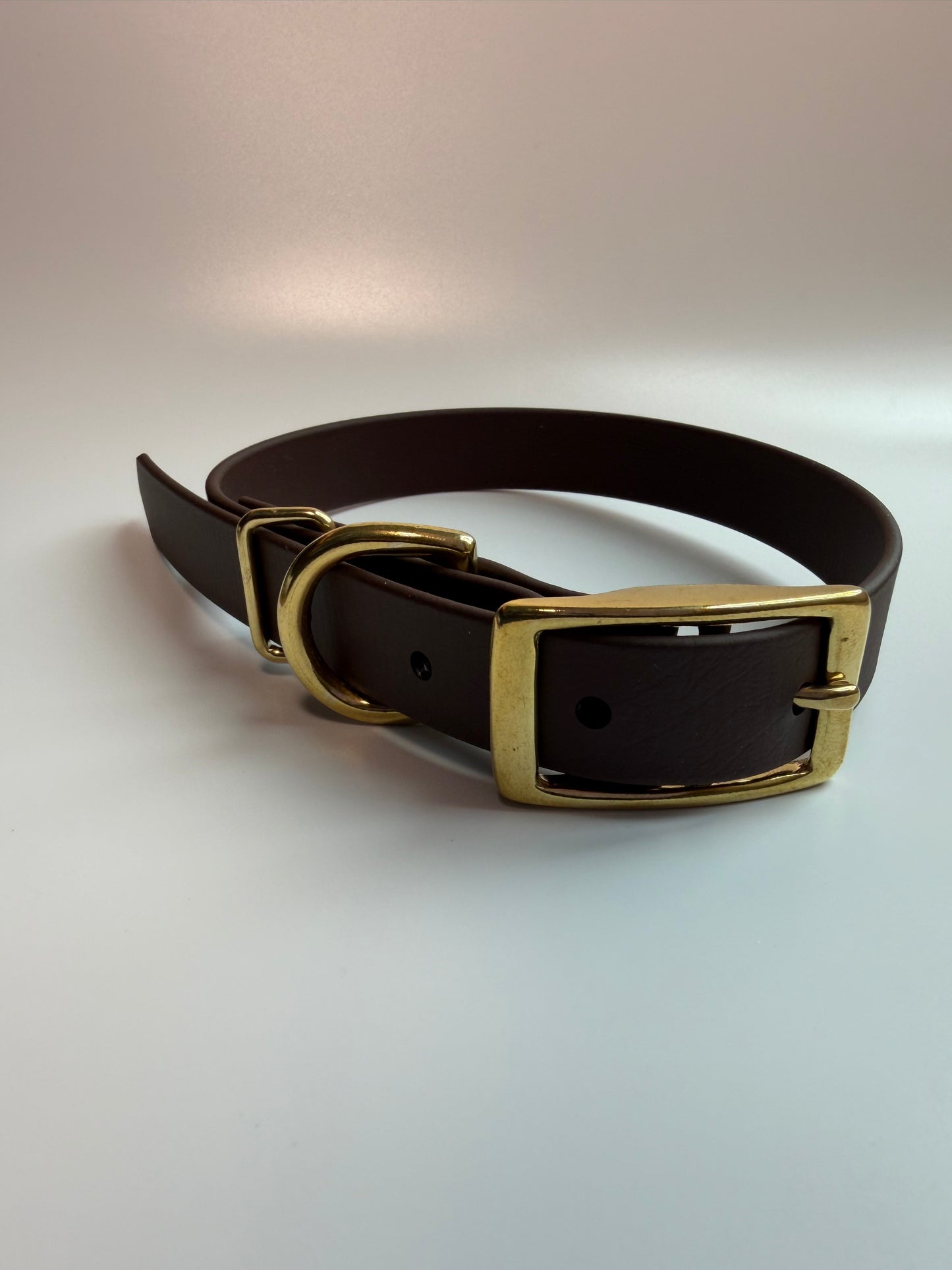 Traditional Buckle Collar 3/4"