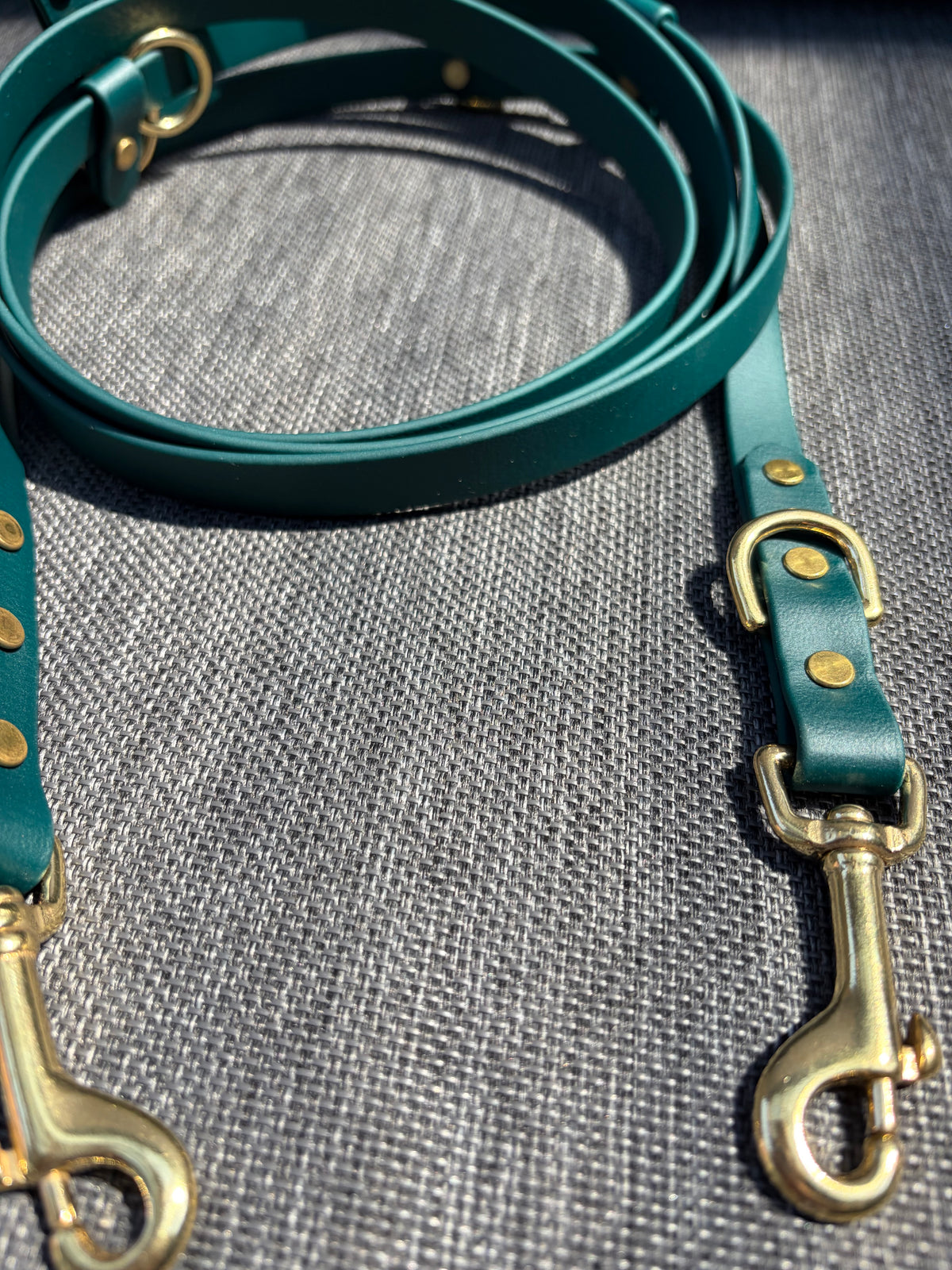 Hands-Free All-in-One Biothane Leash Hunter Green