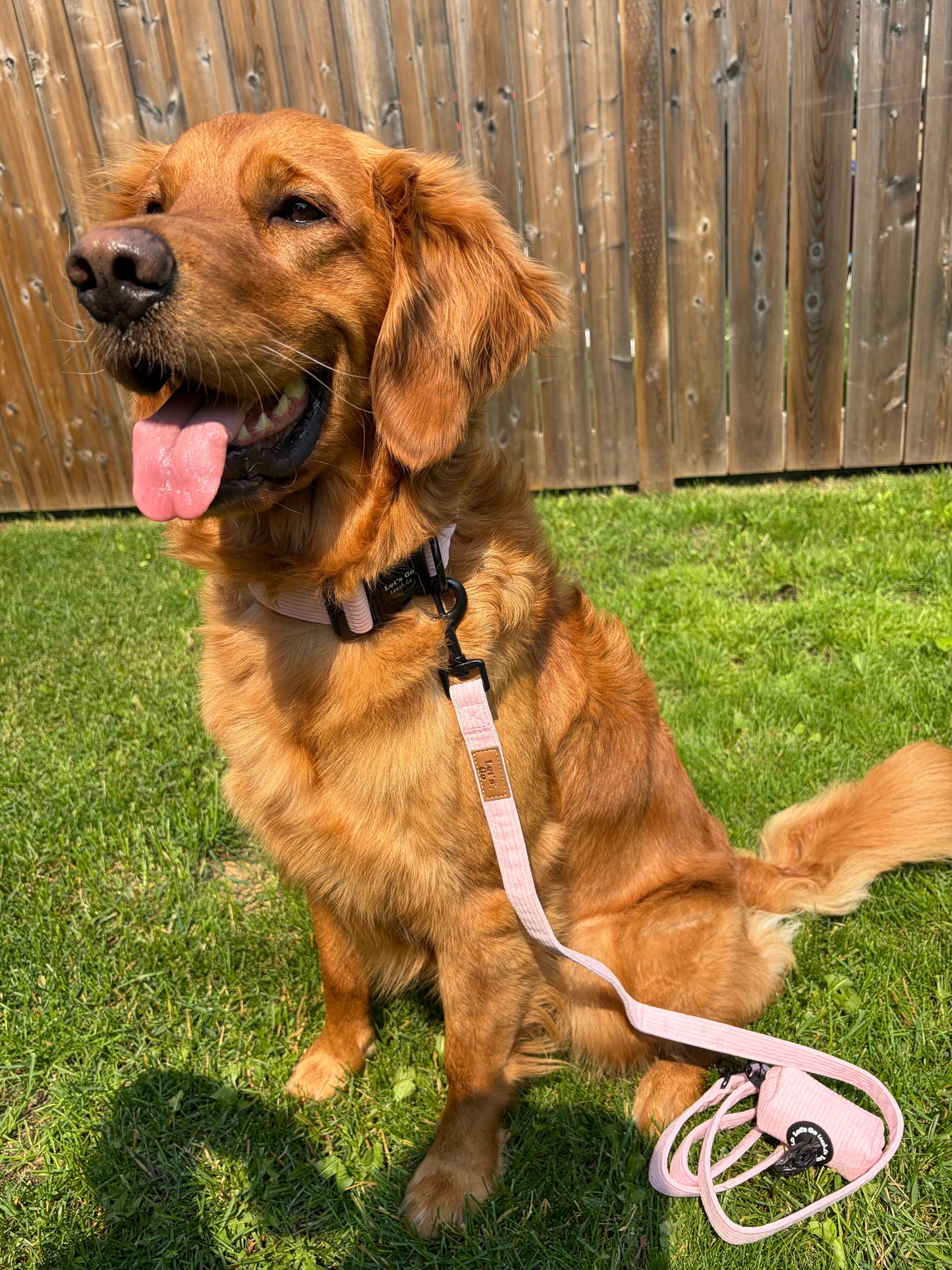 Petal Pink Corduroy Leash
