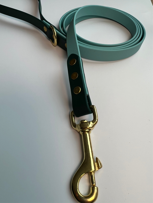 Two-tone Biothane Leash Teal and Hunter Green
