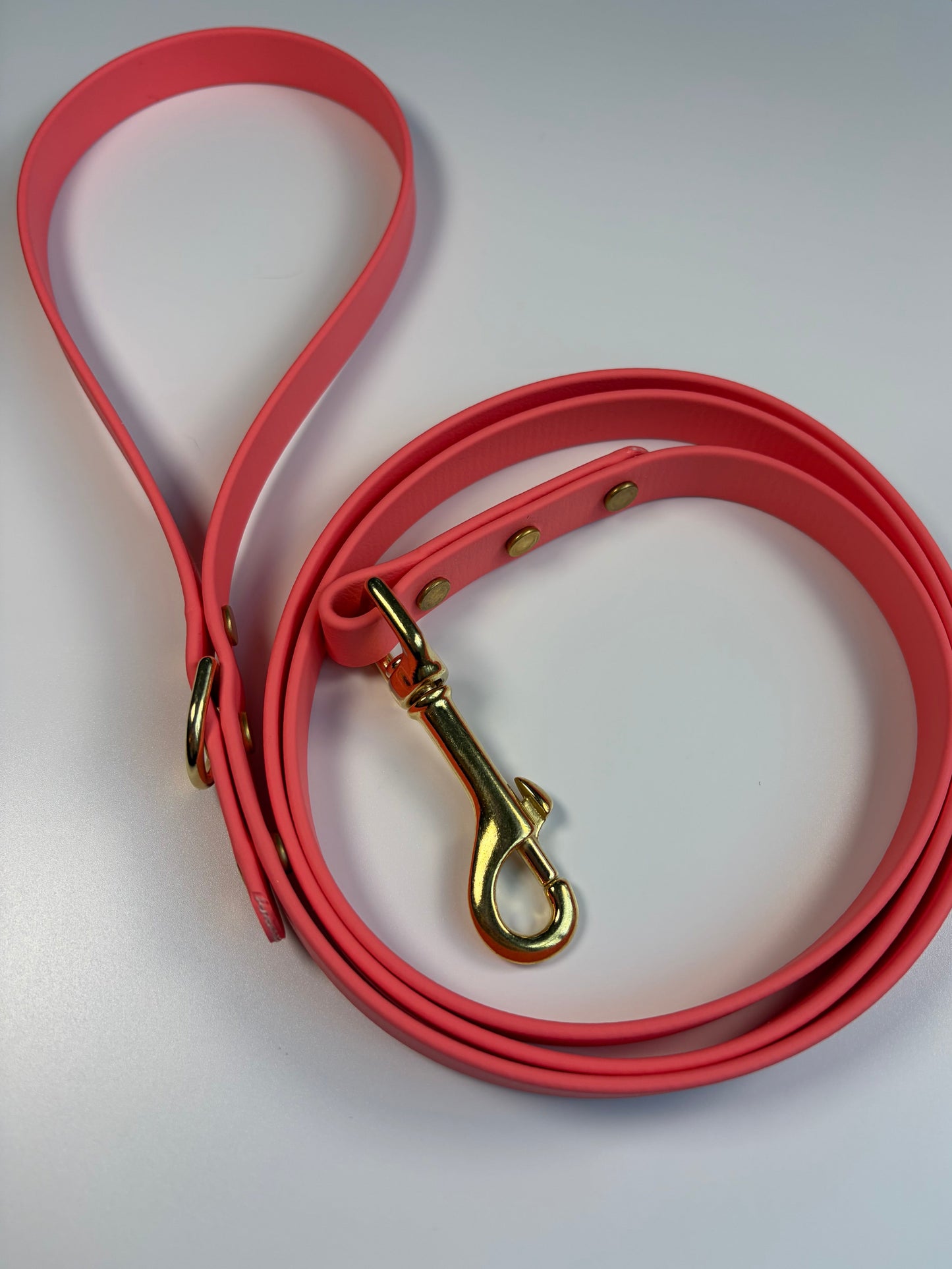 Classic Biothane Leash Coral (Seasonal Color)