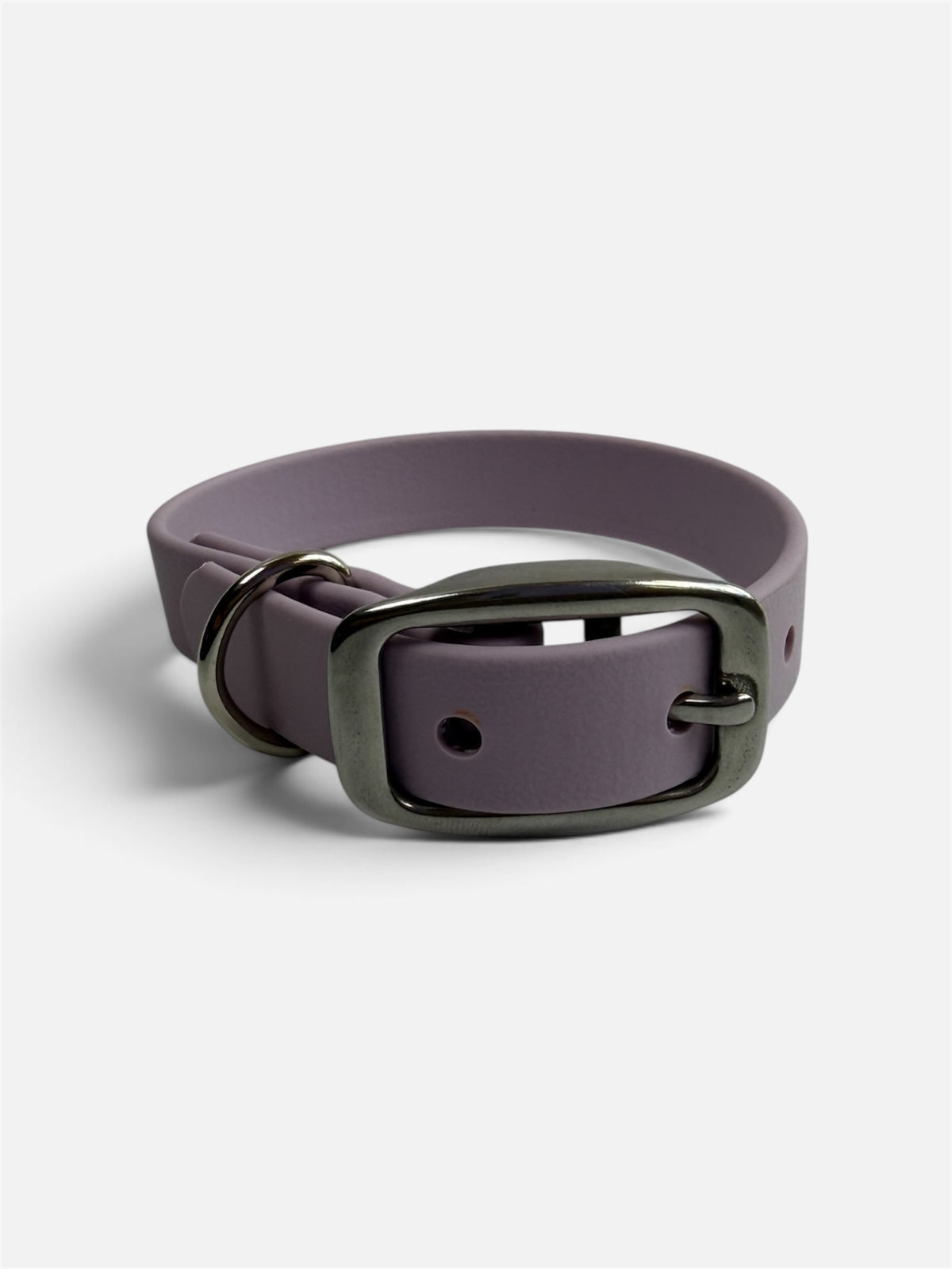 Traditional Buckle Collar 5/8"