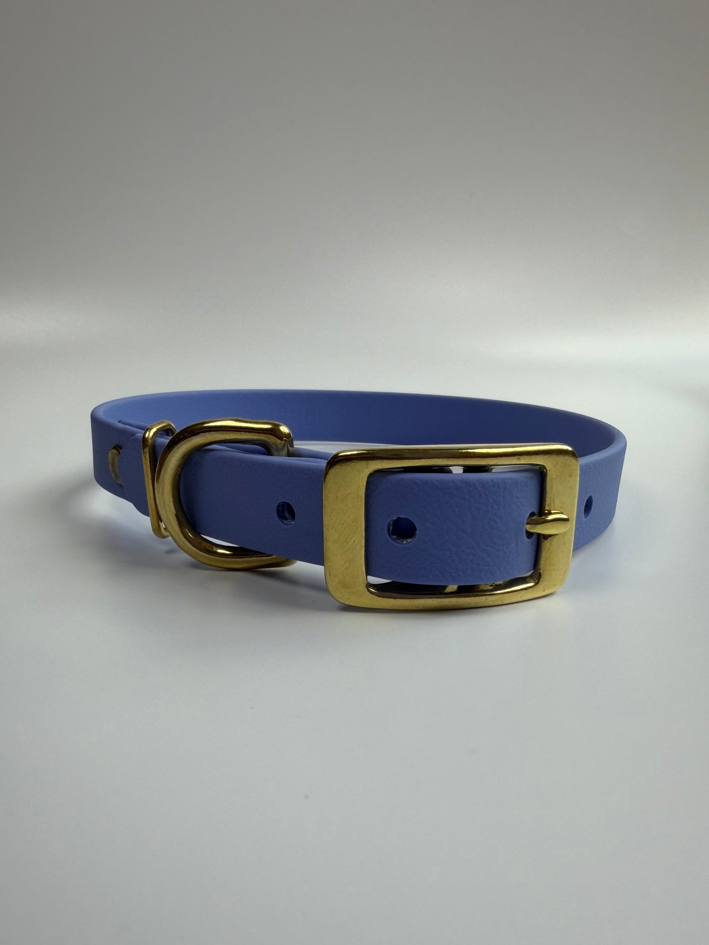 Traditional Buckle Collar 5/8"