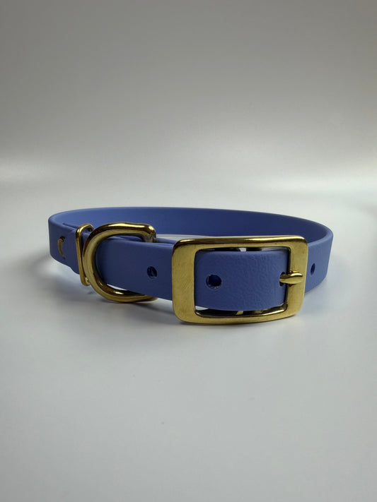 Traditional Buckle Collar 5/8"