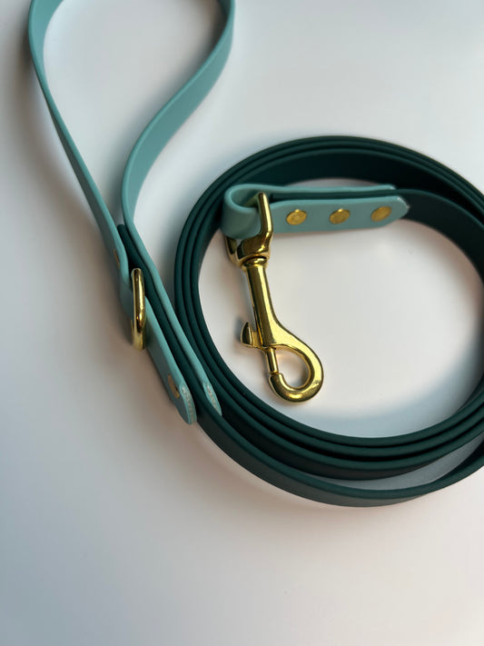 Two-tone Biothane Leash Hunter Green and Teal