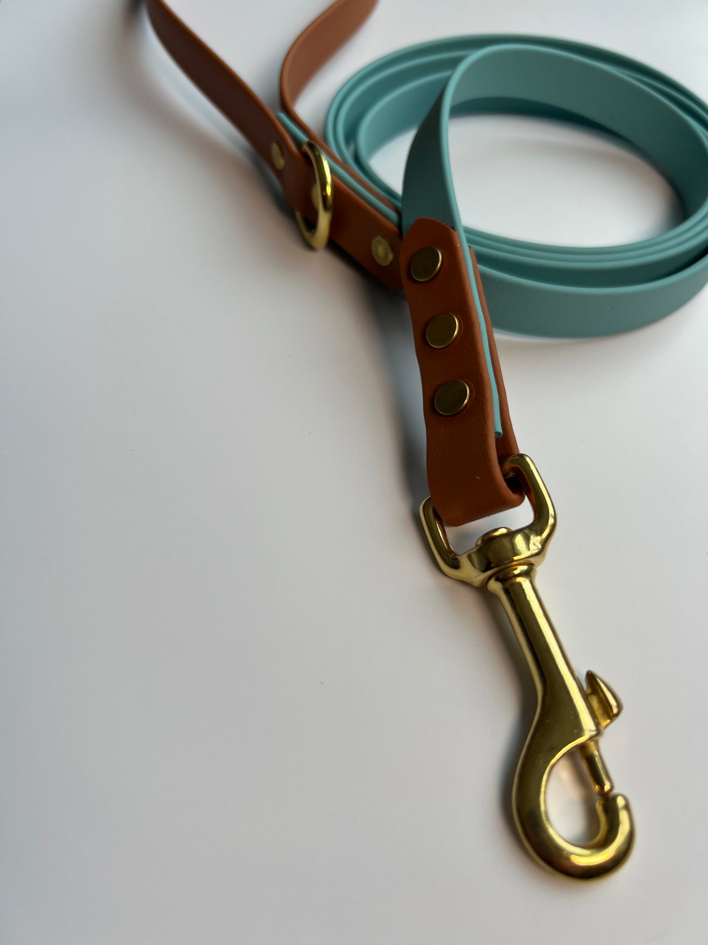 Two-tone Biothane Leash Teal and Tan