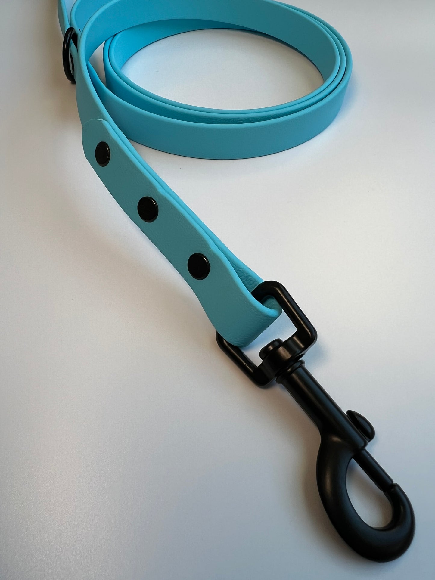 Classic Biothane Leash Baby Blue