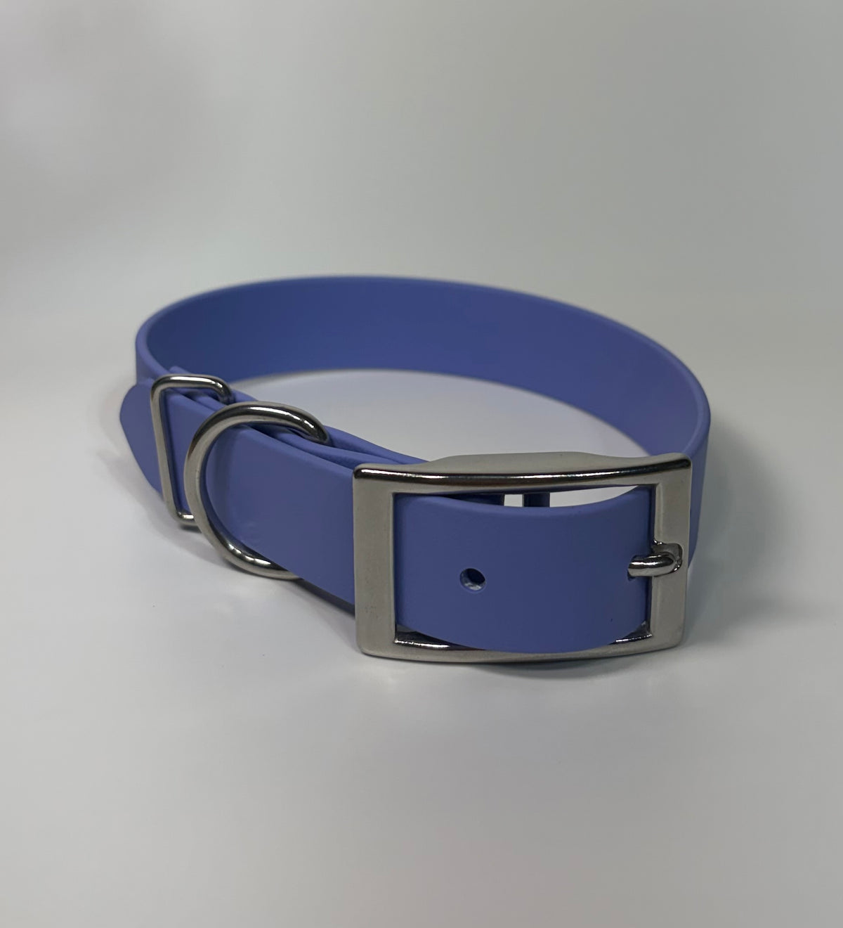 Traditional Buckle Collar 1"