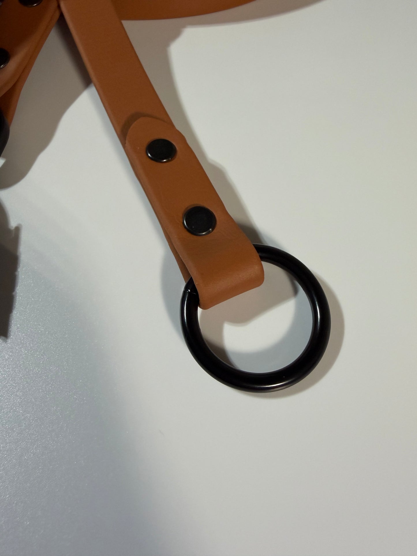 Biothane Long-Line Tan