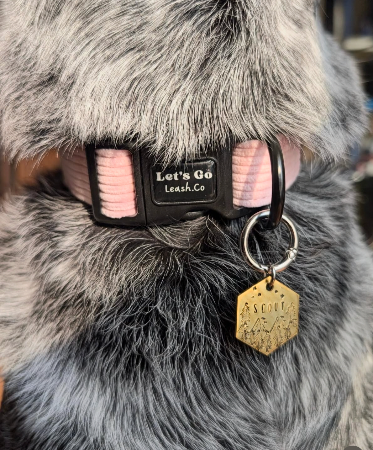 Custom Pet Tag