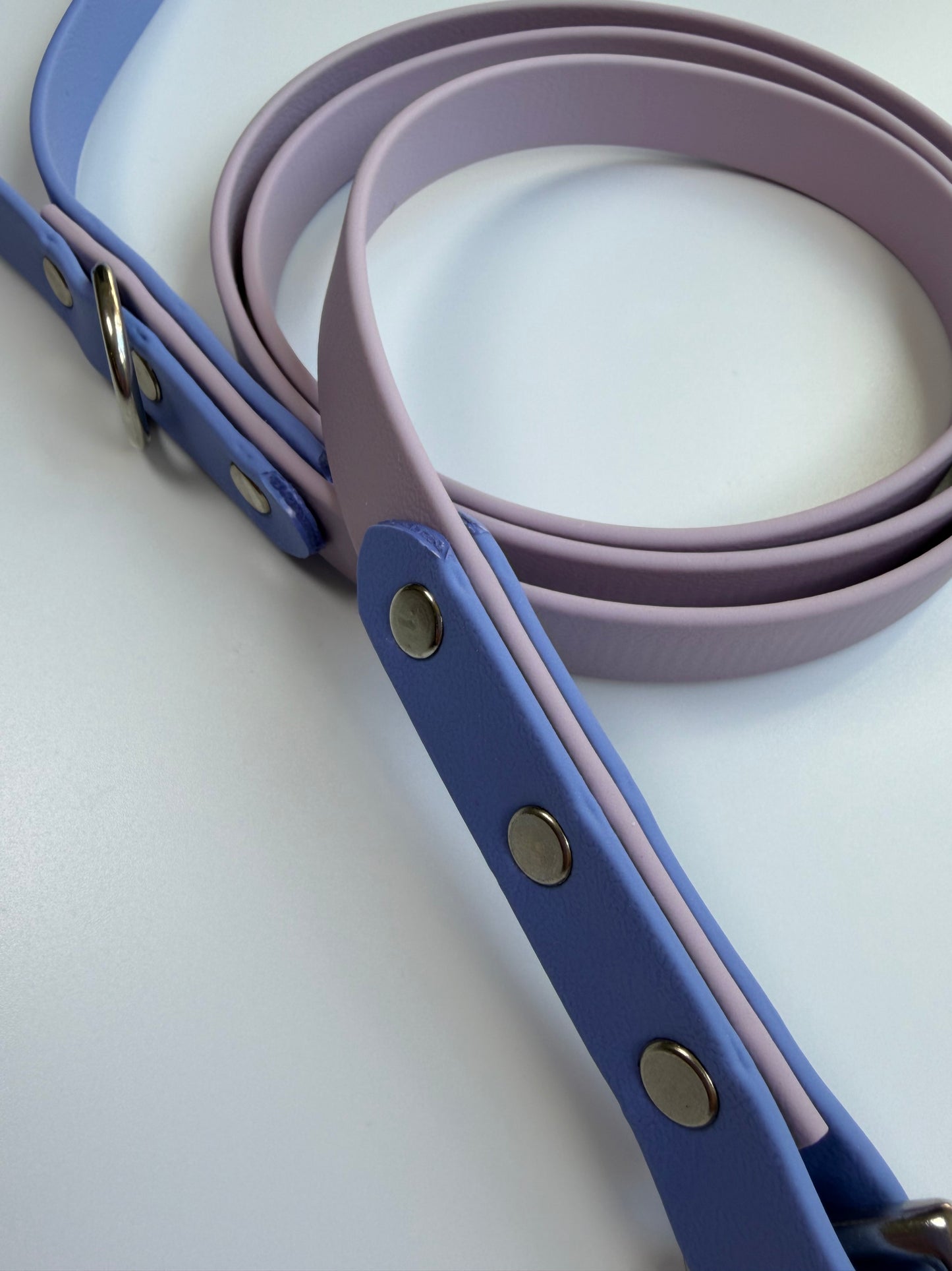Two-tone Biothane Leash Lavender and Periwinkle