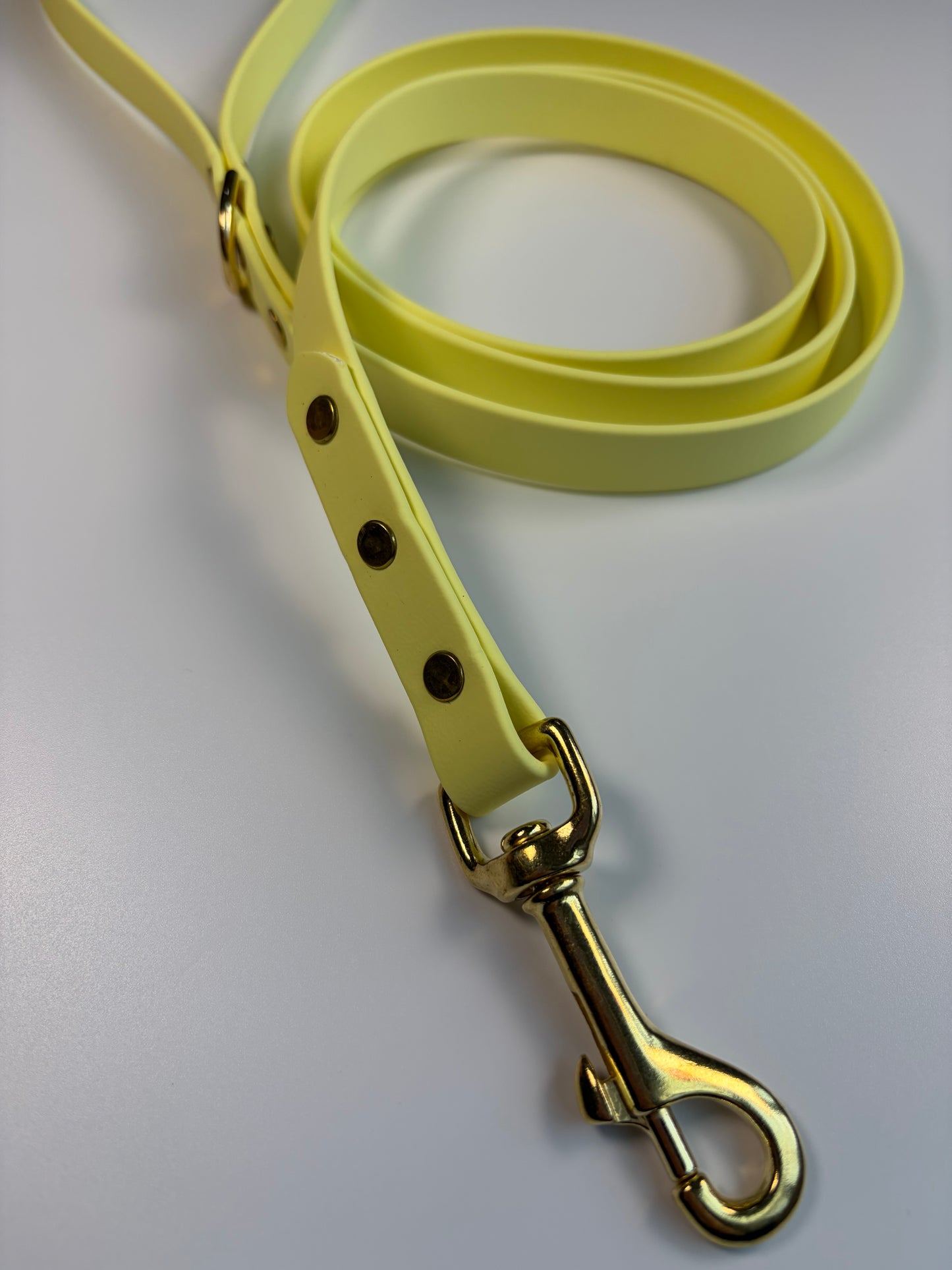 Classic Biothane Leash Lemonade (Seasonal Color)