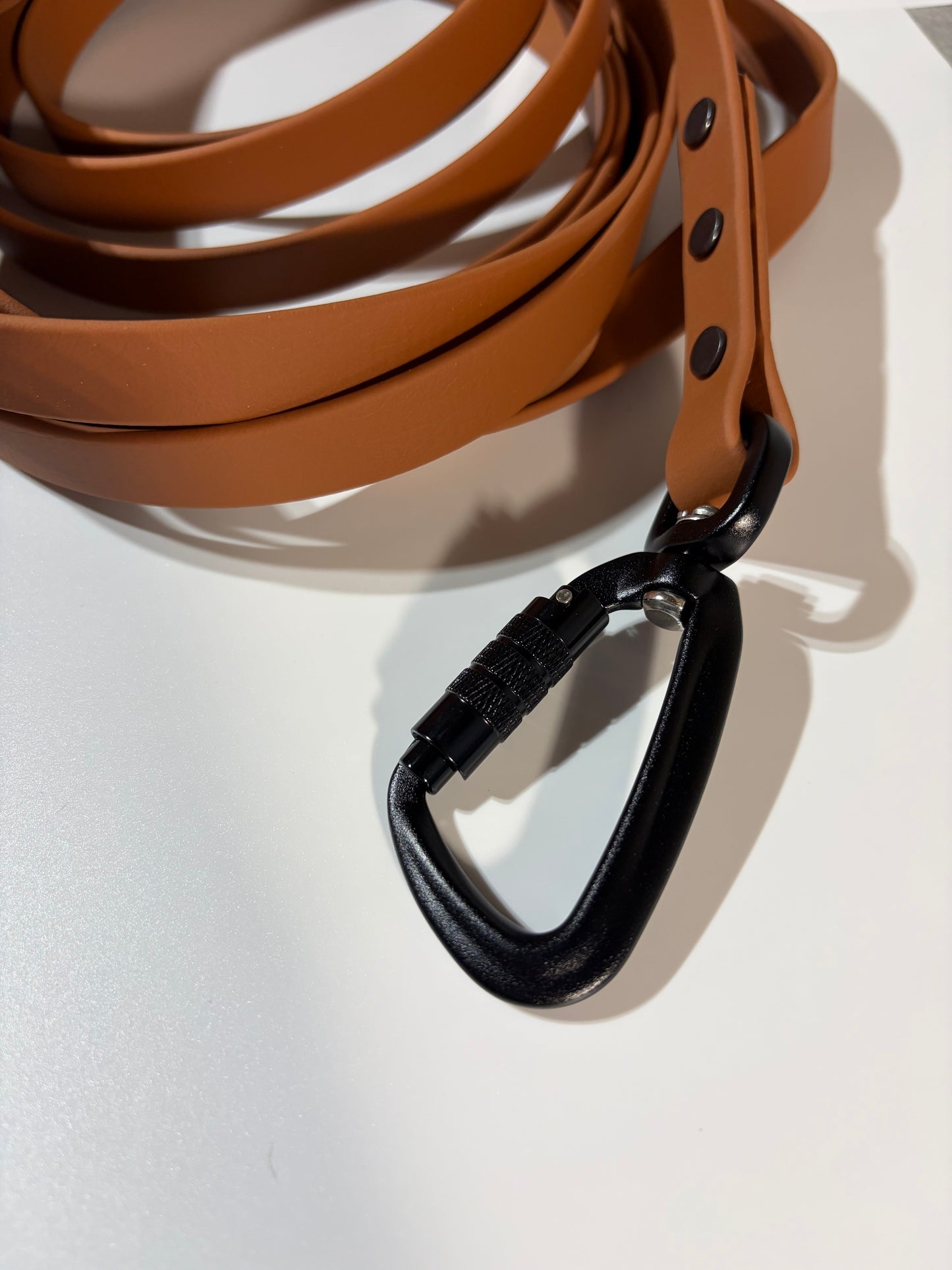 Biothane Long-Line Tan