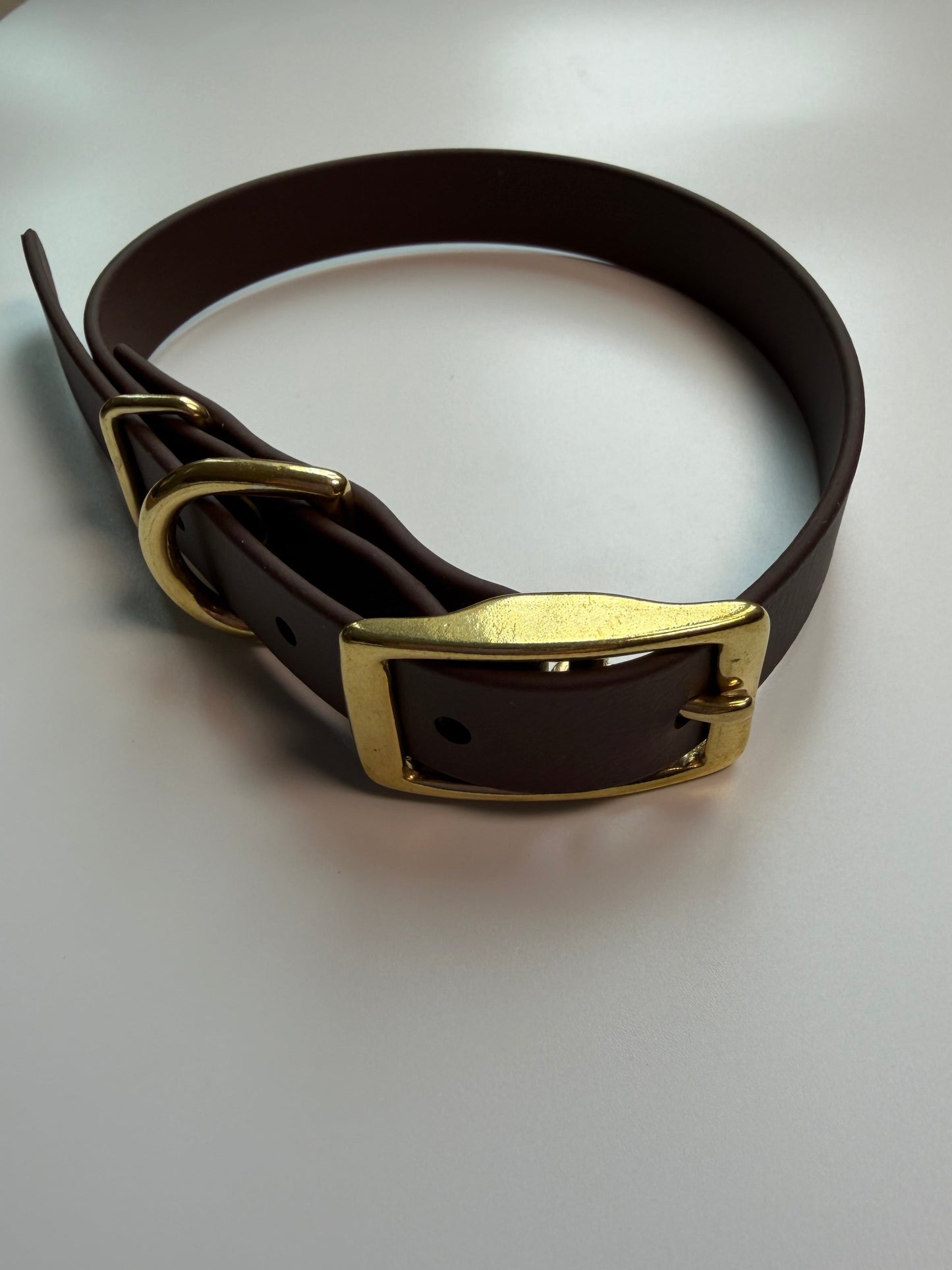 Traditional Buckle Collar 3/4"