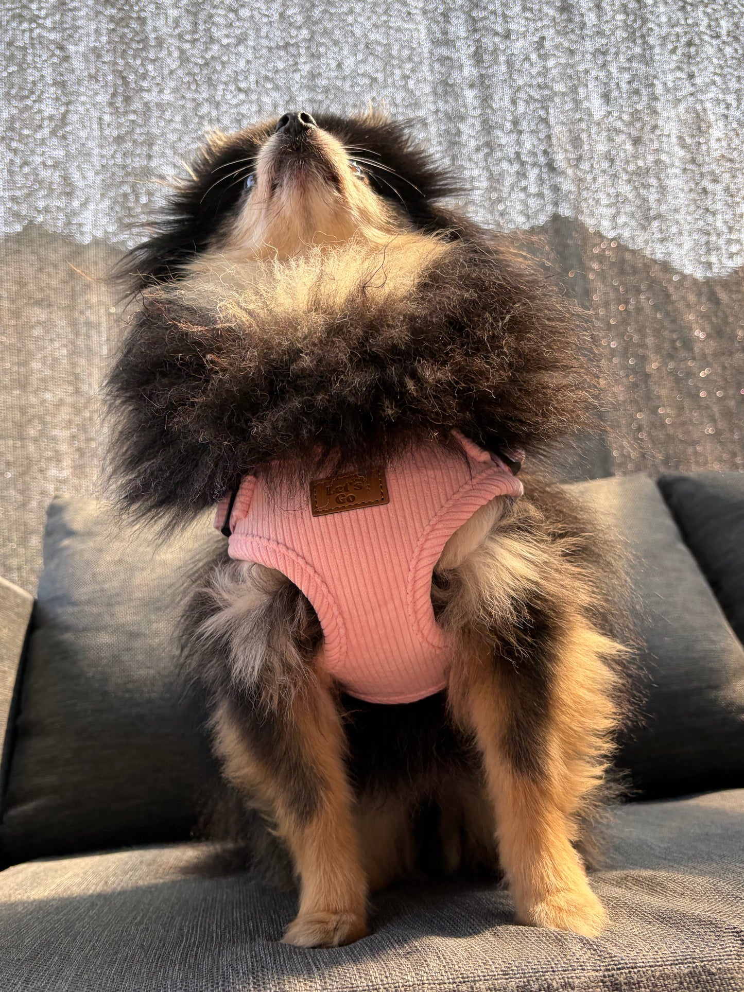 Petal Pink Step-In Corduroy Harness