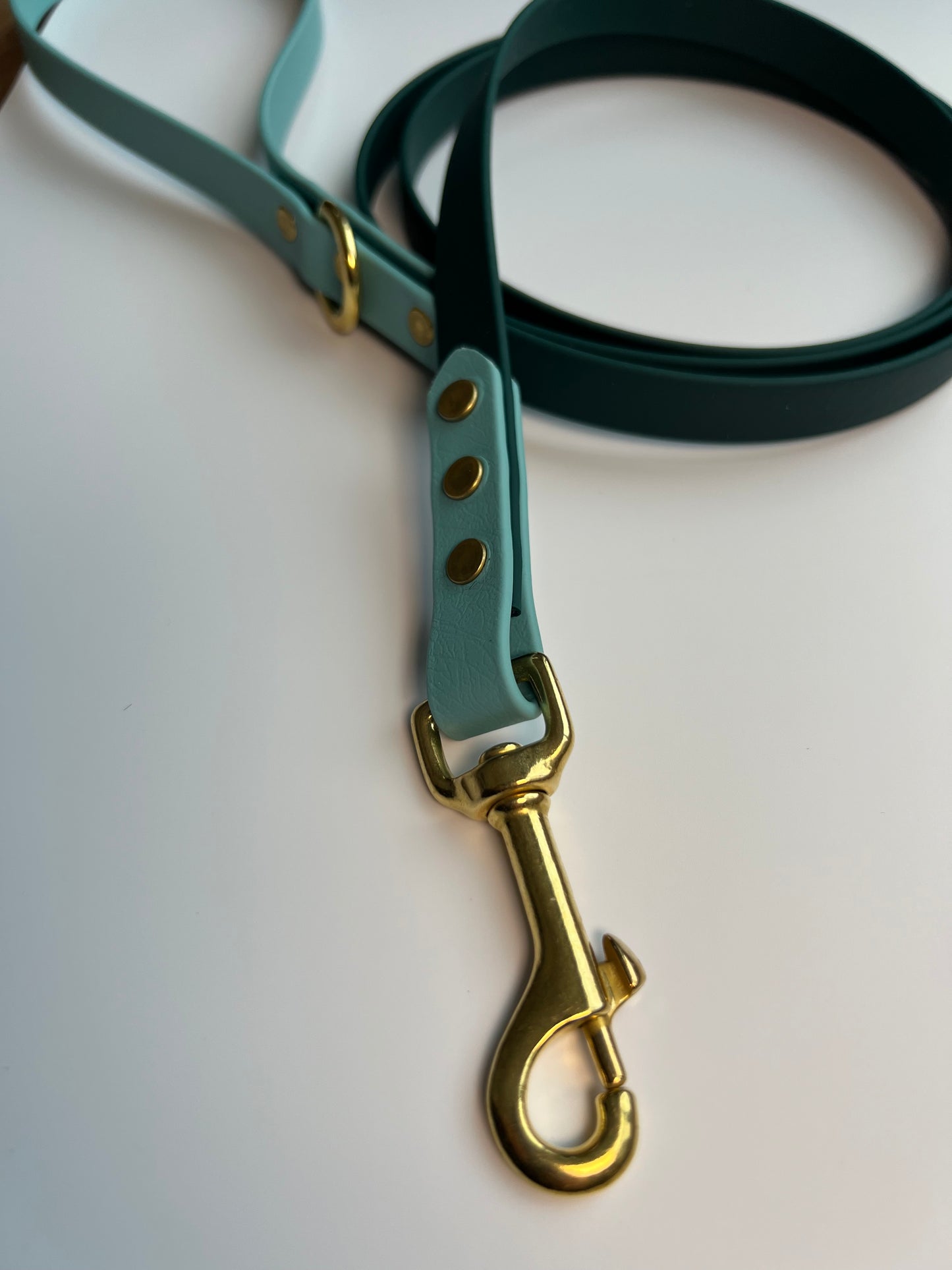 Two-tone Biothane Leash Hunter Green and Teal
