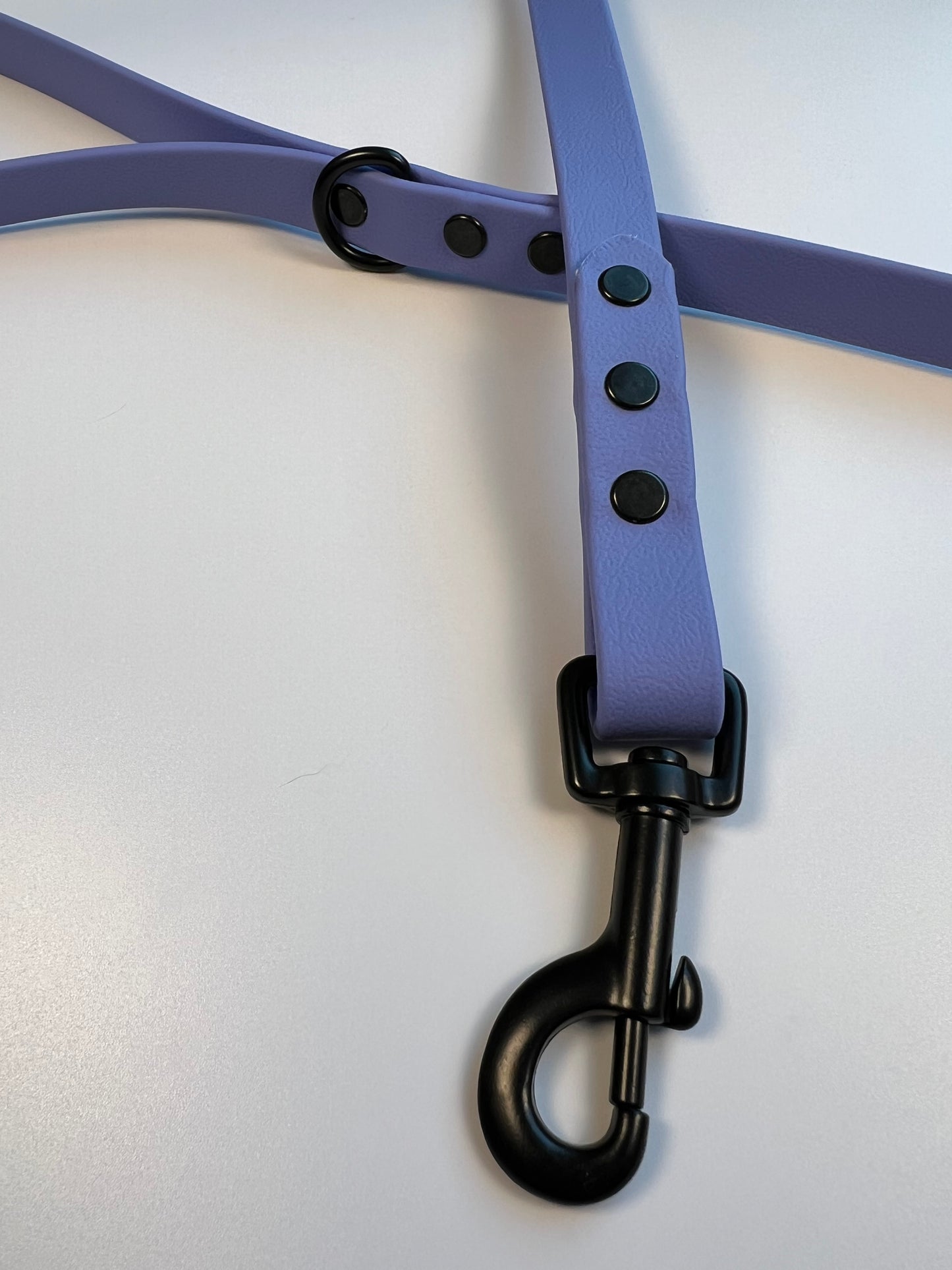 Classic Biothane Leash Periwinkle