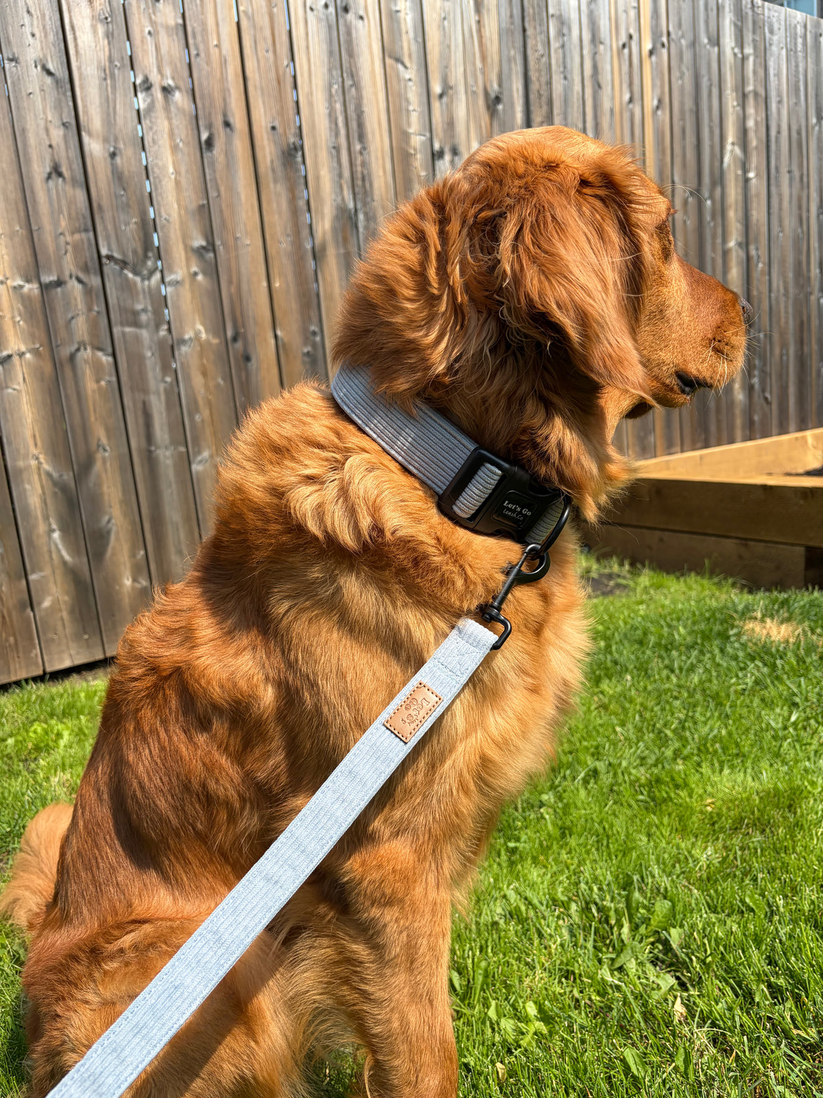 Steel Blue Corduroy Collar