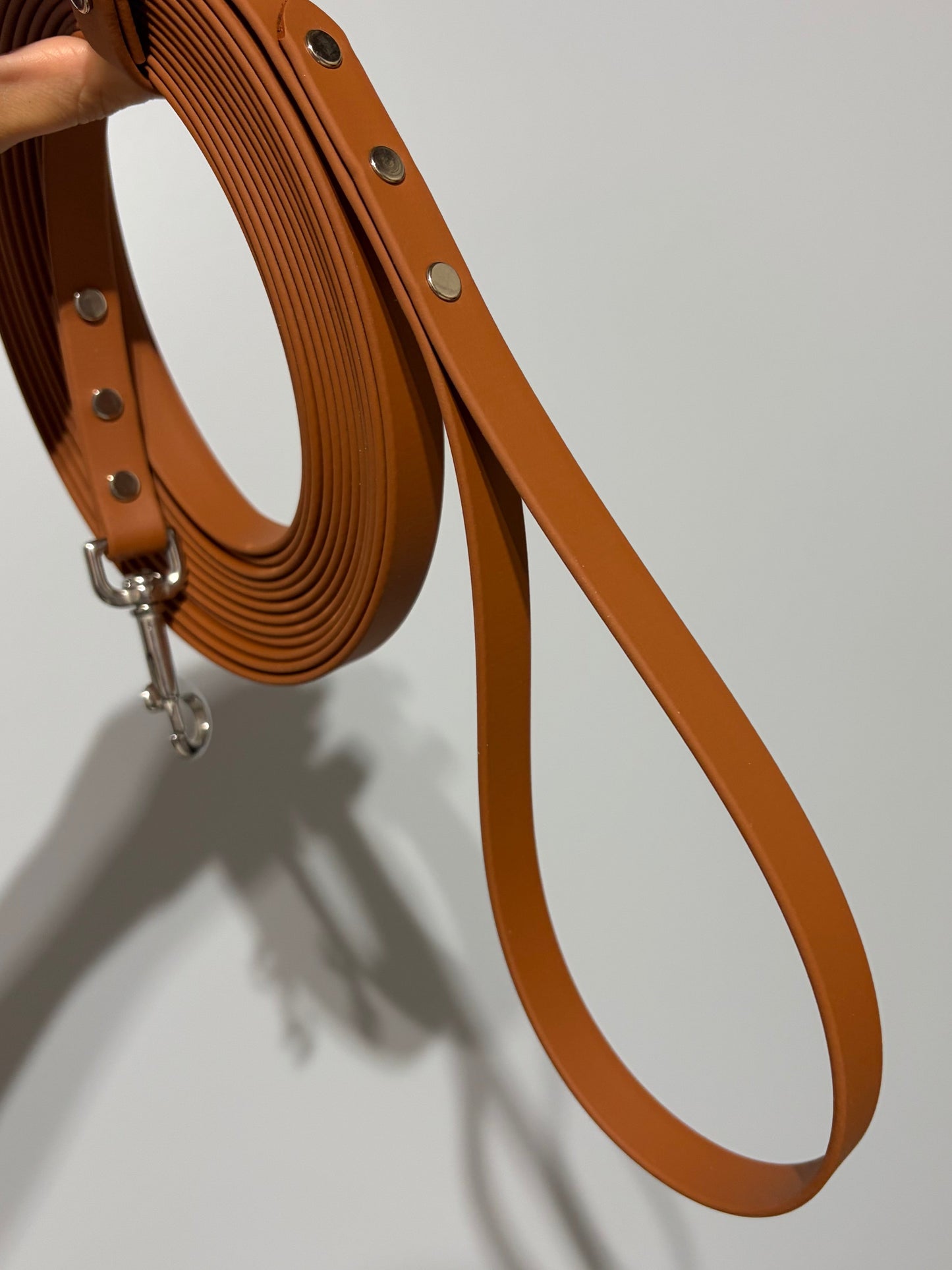 Biothane Long-Line with Handle