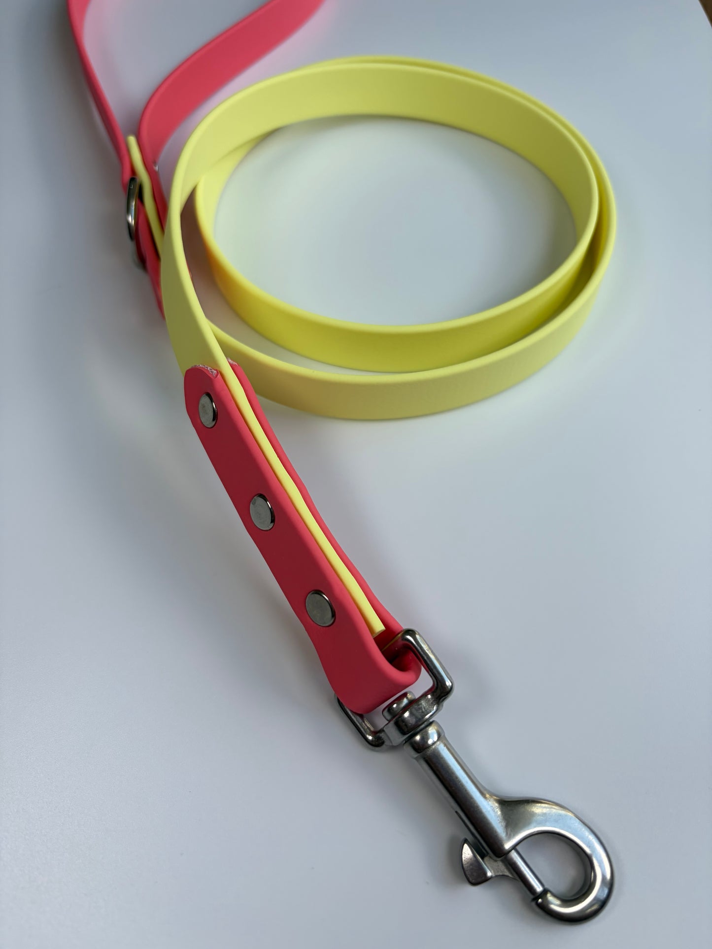 Two-tone Biothane Leash Lemonade and Coral
