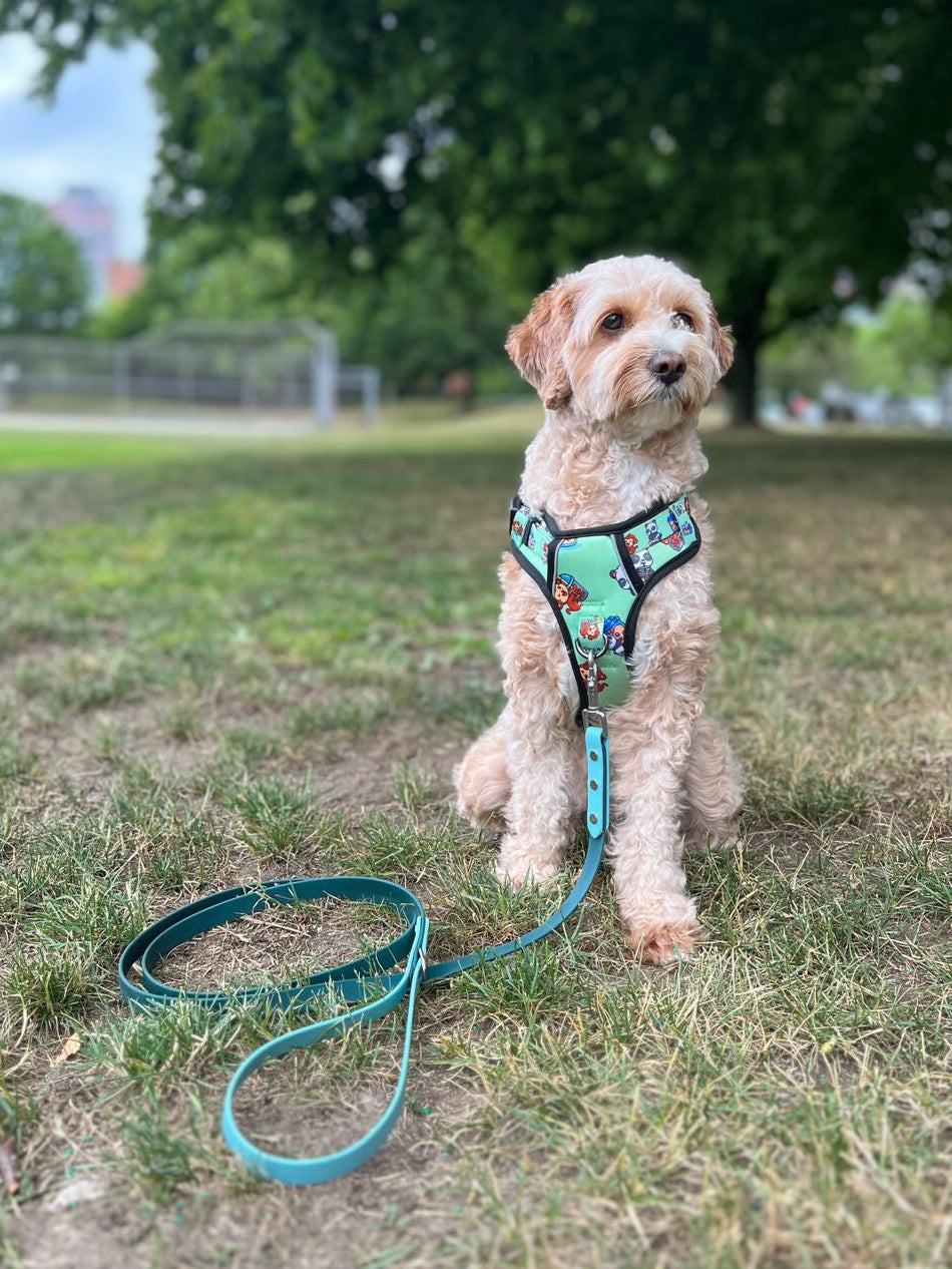 Two-tone Biothane Leash Hunter Green and Teal