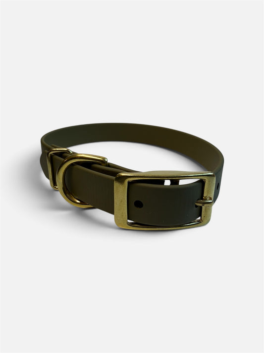 Fall Collection Traditional Buckle Collar 3/4"