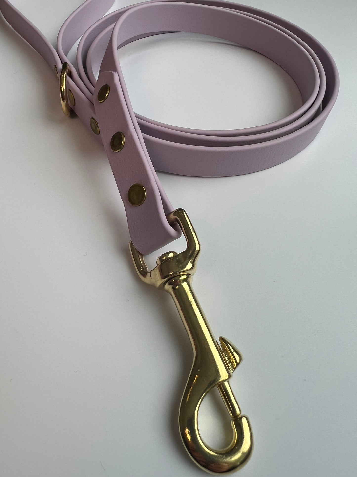 Classic Biothane Leash Lavender
