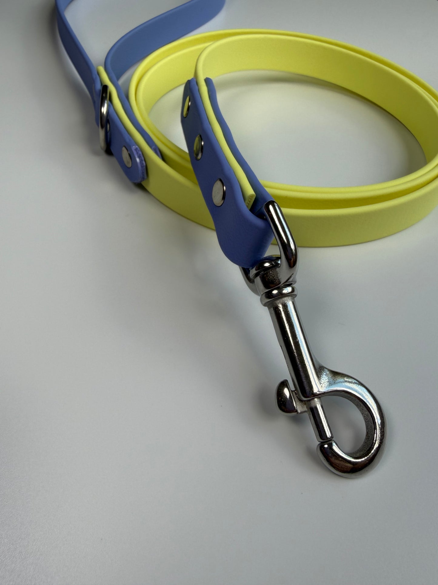 Two-tone Biothane Leash Lemonade and Periwinkle